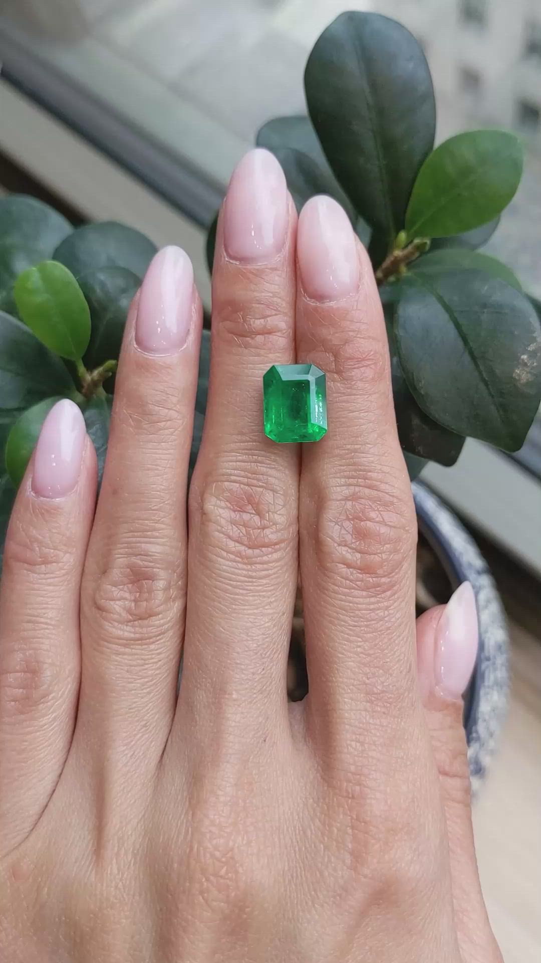 5.62 Ct. Emerald from Zambia Size Video