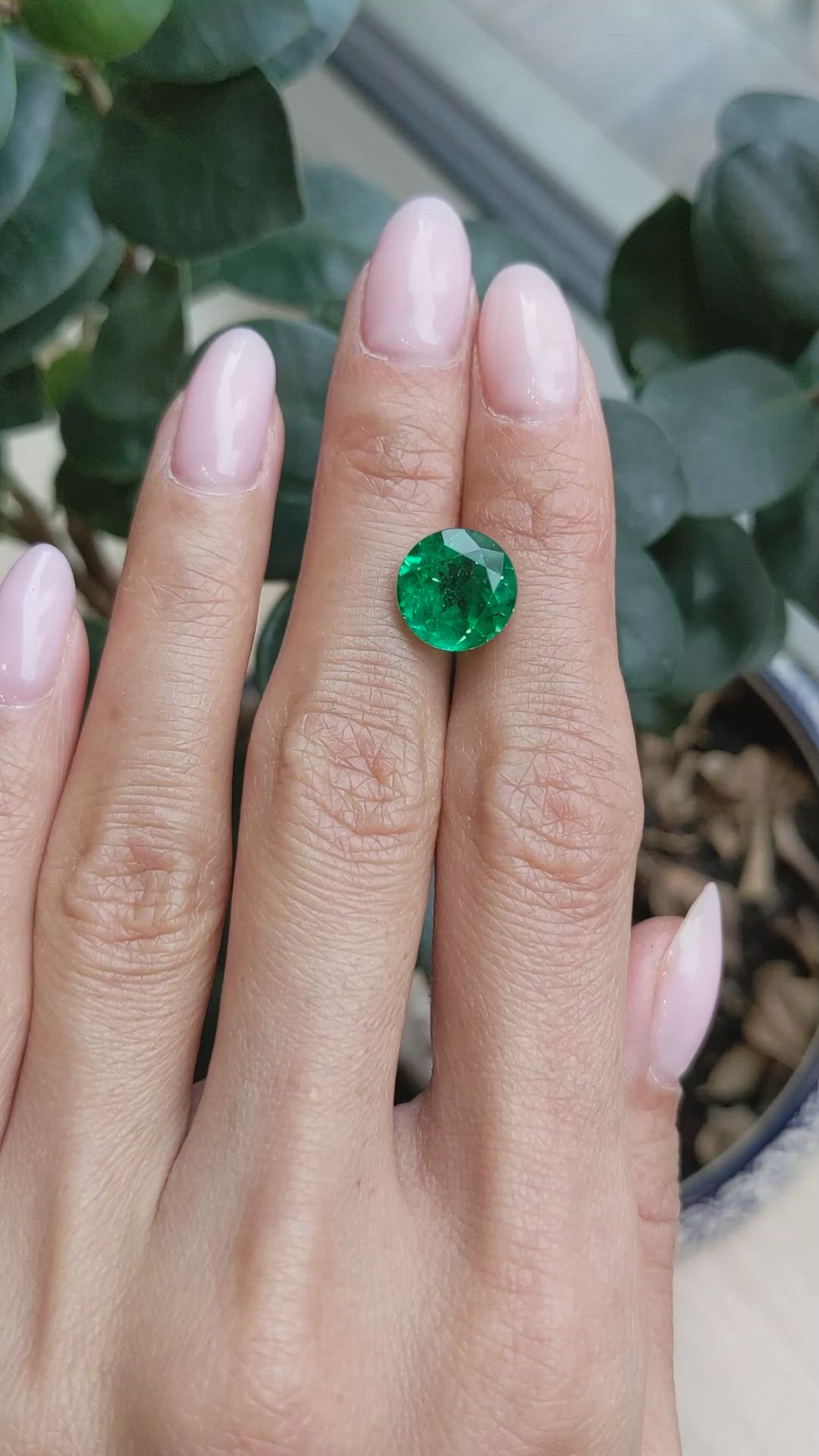 4.23 Ct. Emerald from Zambia Size Video