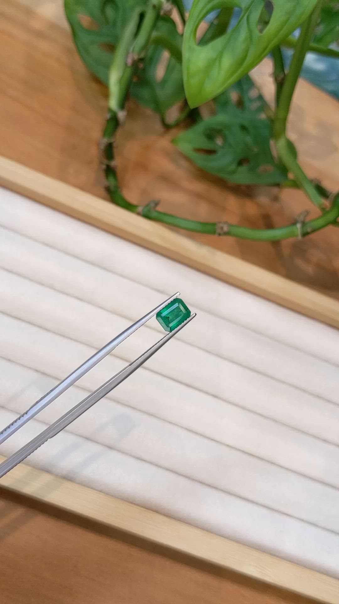 1.44 Ct. Emerald from Zambia Size Video