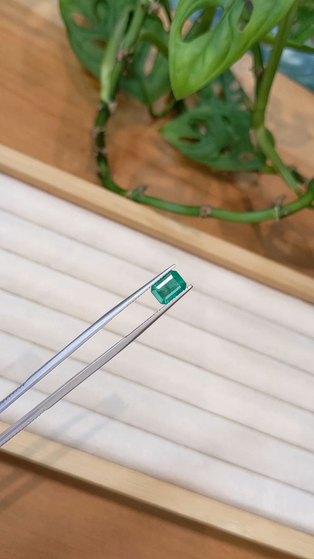 1.62 Ct. Emerald from Zambia Size Video
