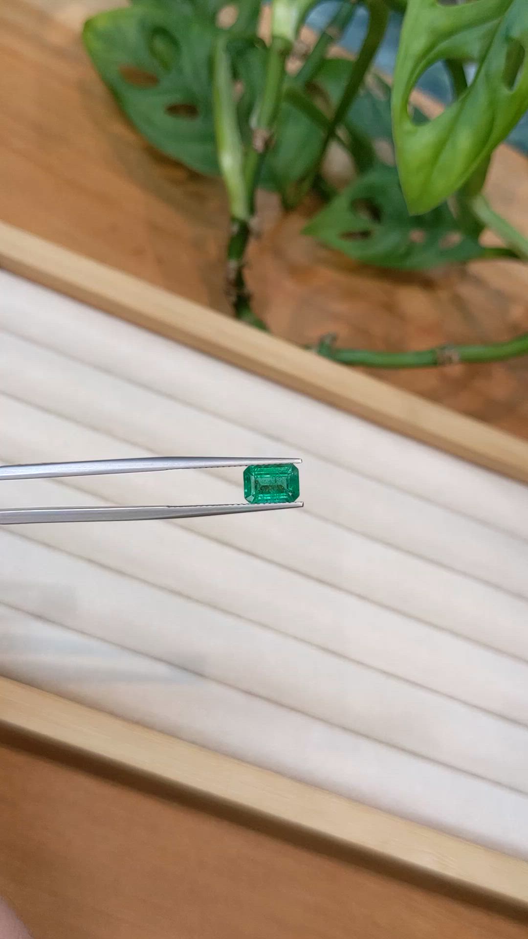 1.74 Ct. Emerald from Zambia Size Video