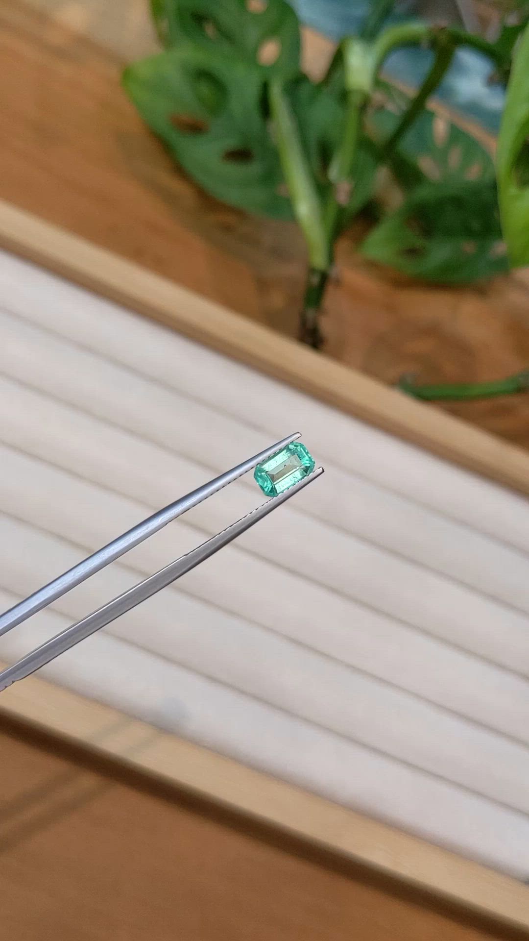 1.01 Ct. Emerald from Nigeria Size Video