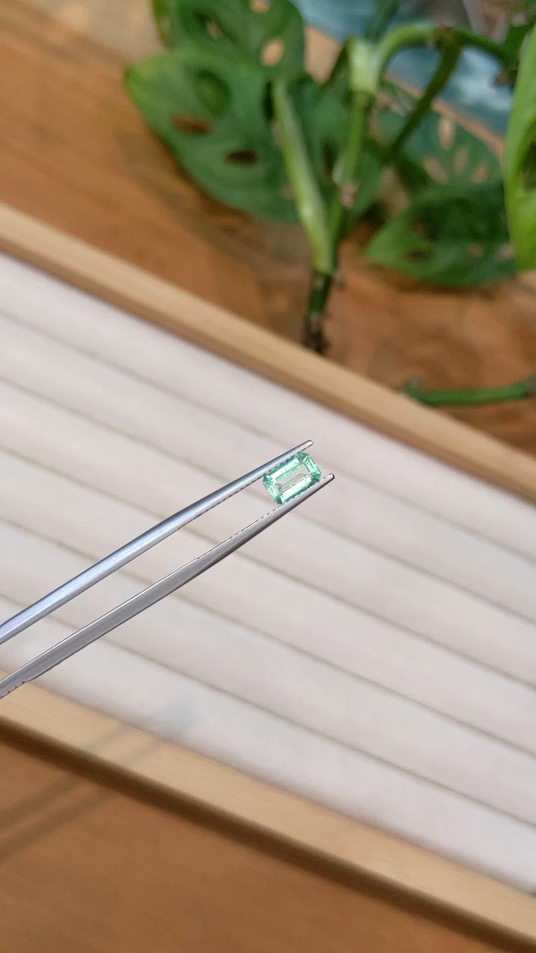0.80 Ct. Emerald from Nigeria Size Video