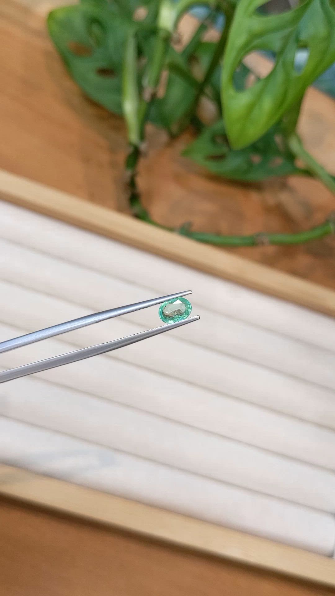 0.55 Ct. Emerald from Nigeria Size Video