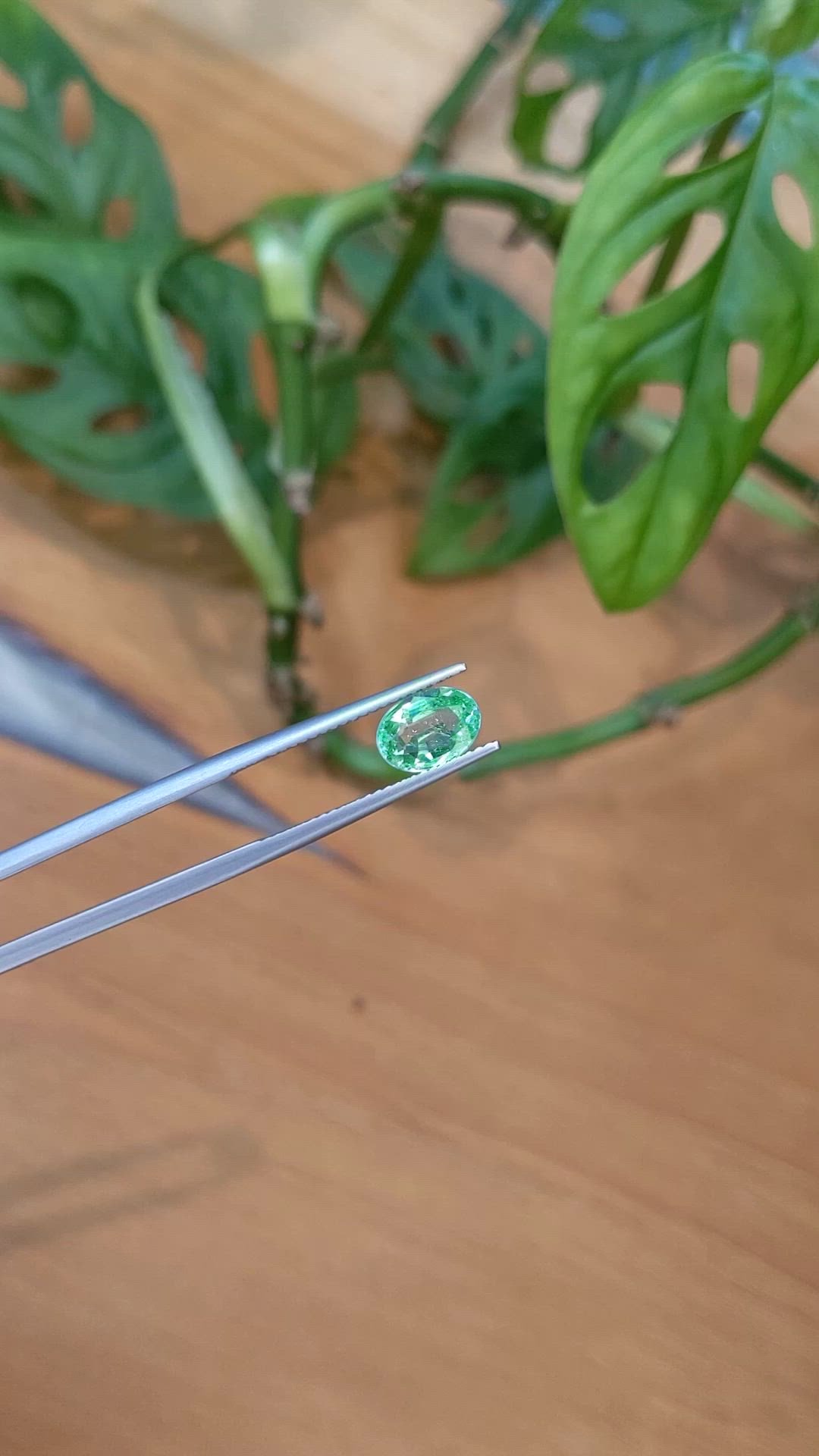 1.26 Ct. Emerald from Nigeria Size Video