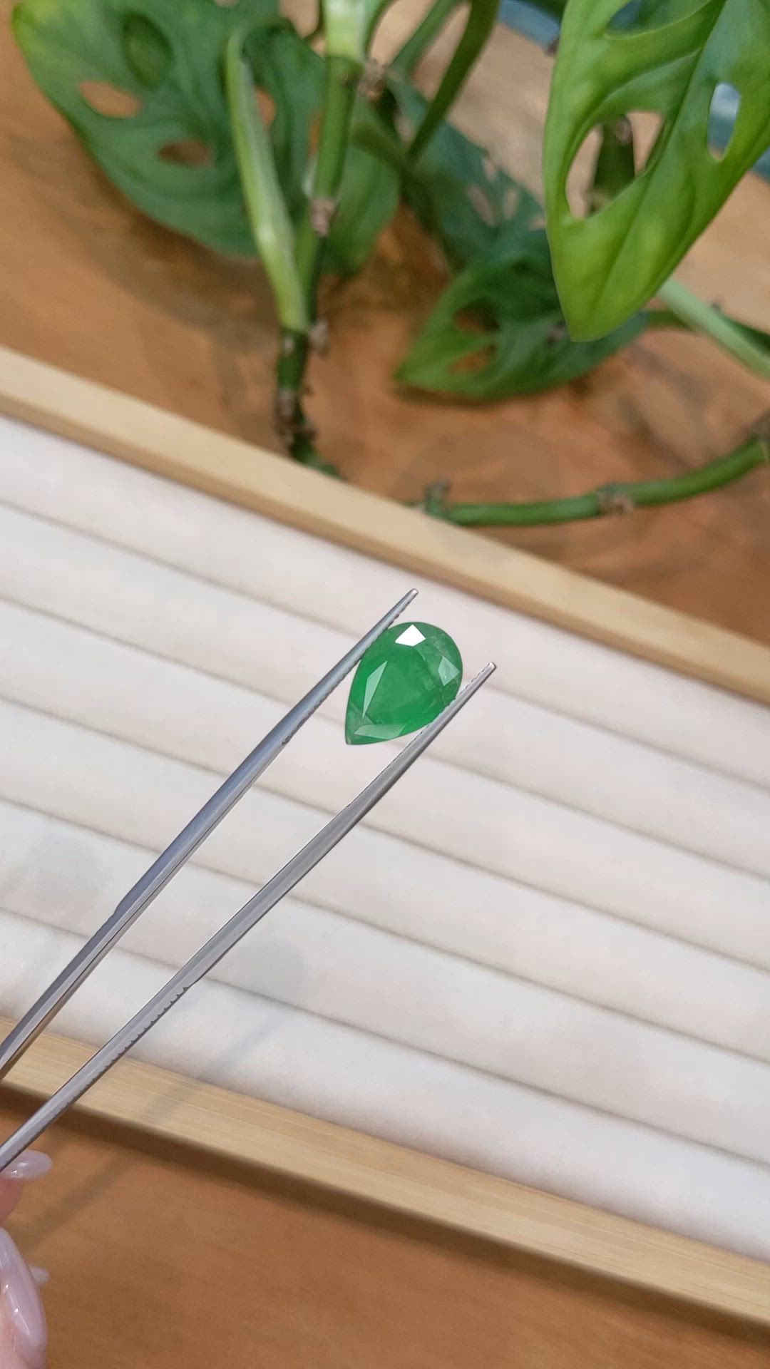 4.50 Ct. Emerald from Zambia Size Video