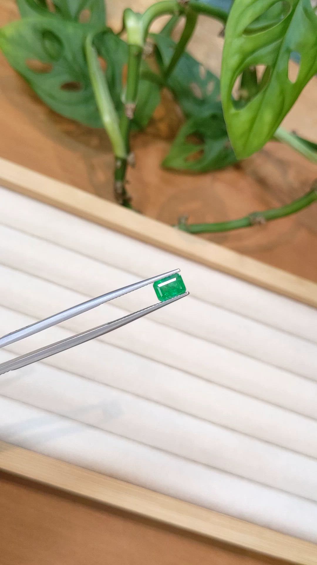 1.20 Ct. Emerald from Zambia Size Video