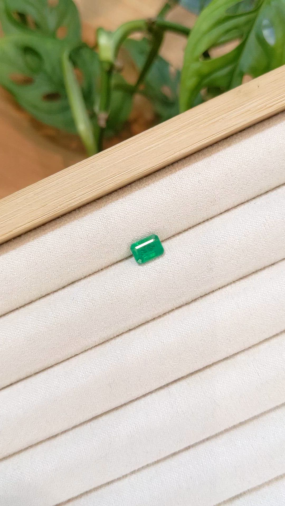 1.20 Ct. Emerald from Zambia Size Video