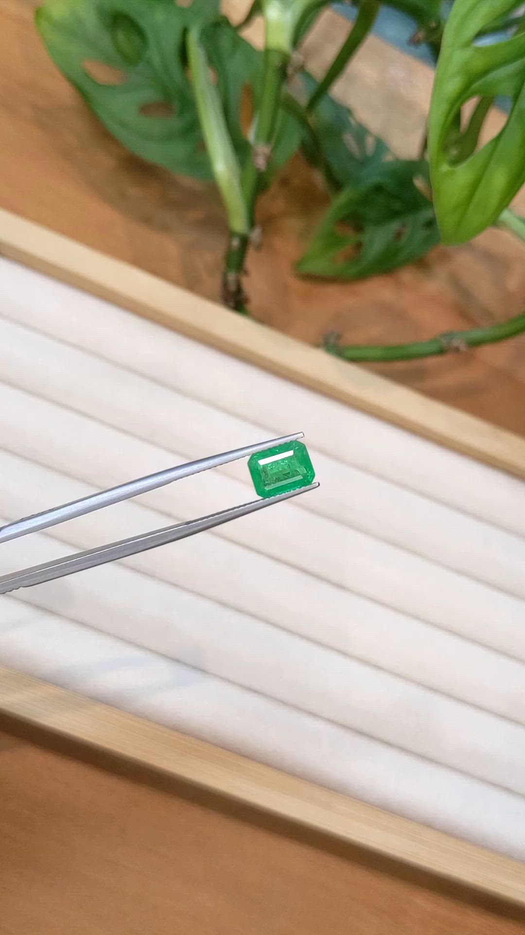 2.59 Ct. Emerald from Zambia Size Video