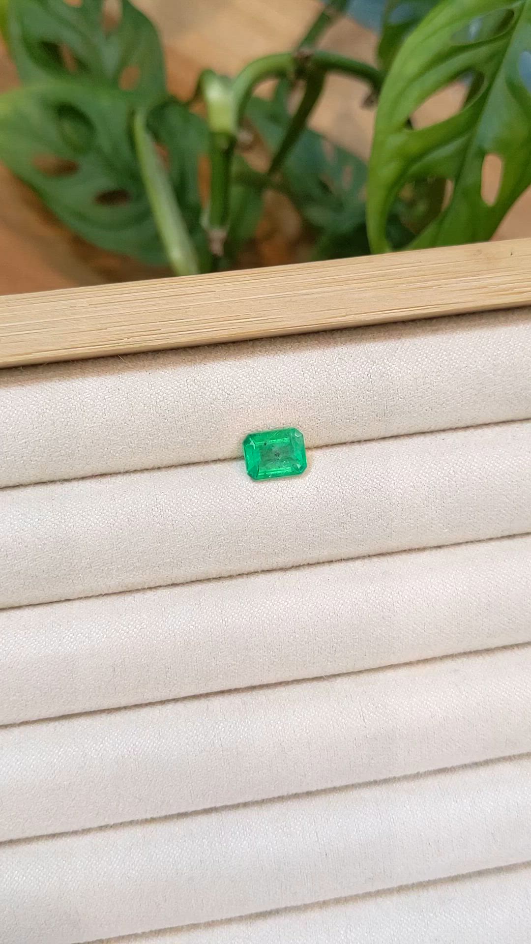 1.47 Ct. Emerald from Zambia Size Video