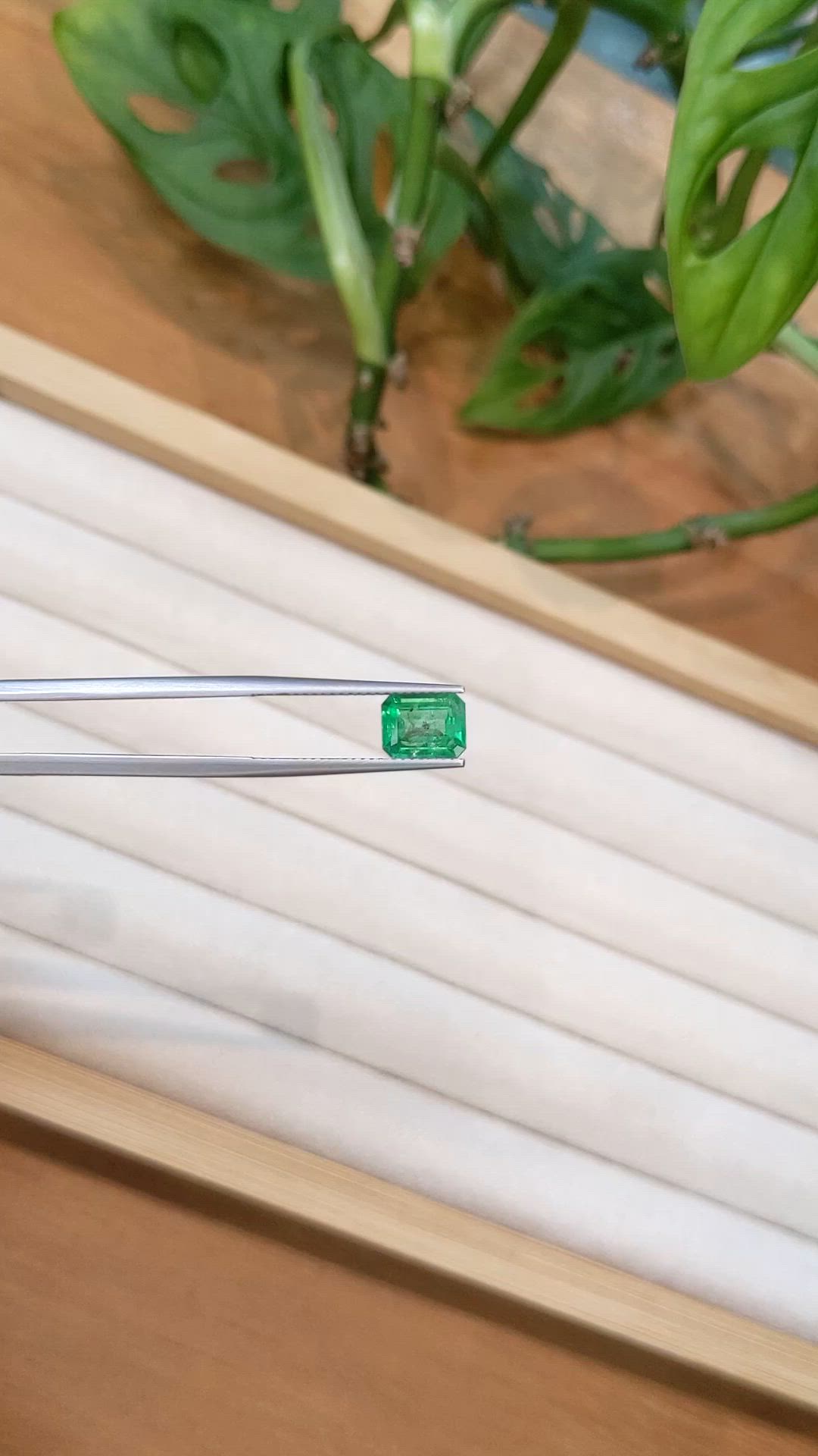 1.47 Ct. Emerald from Zambia Size Video