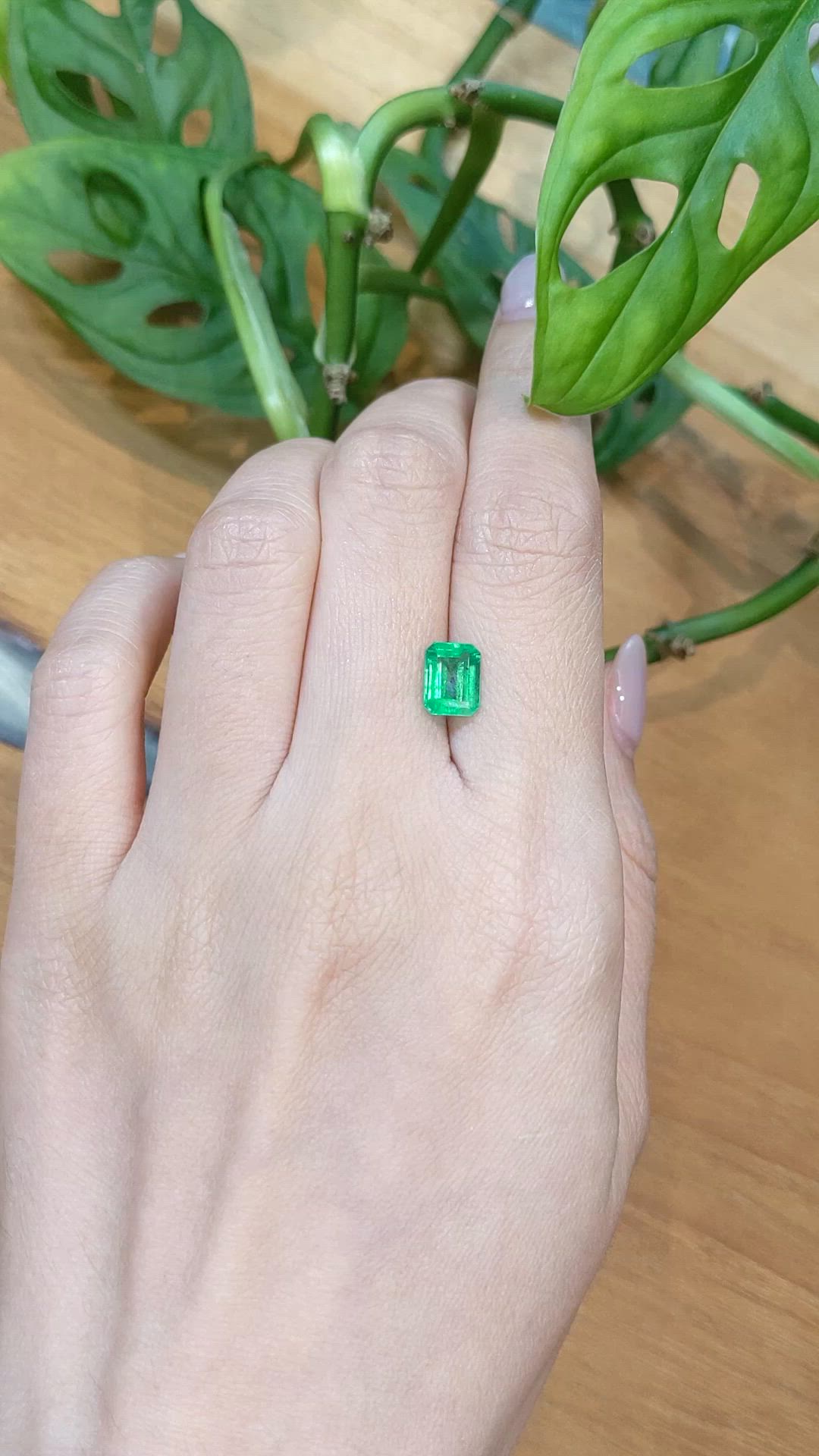 1.47 Ct. Emerald from Zambia Size Video