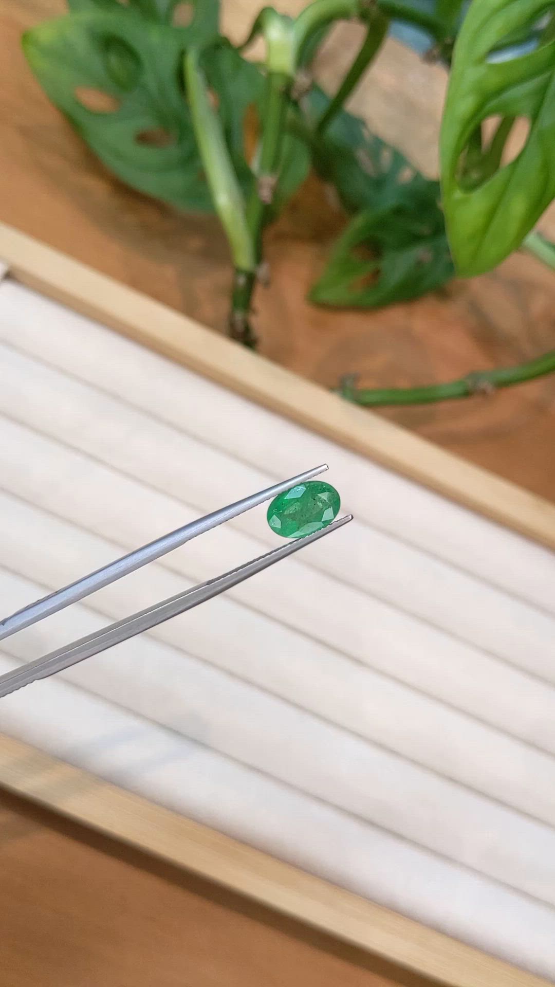 1.74 Ct. Emerald from Zambia Size Video