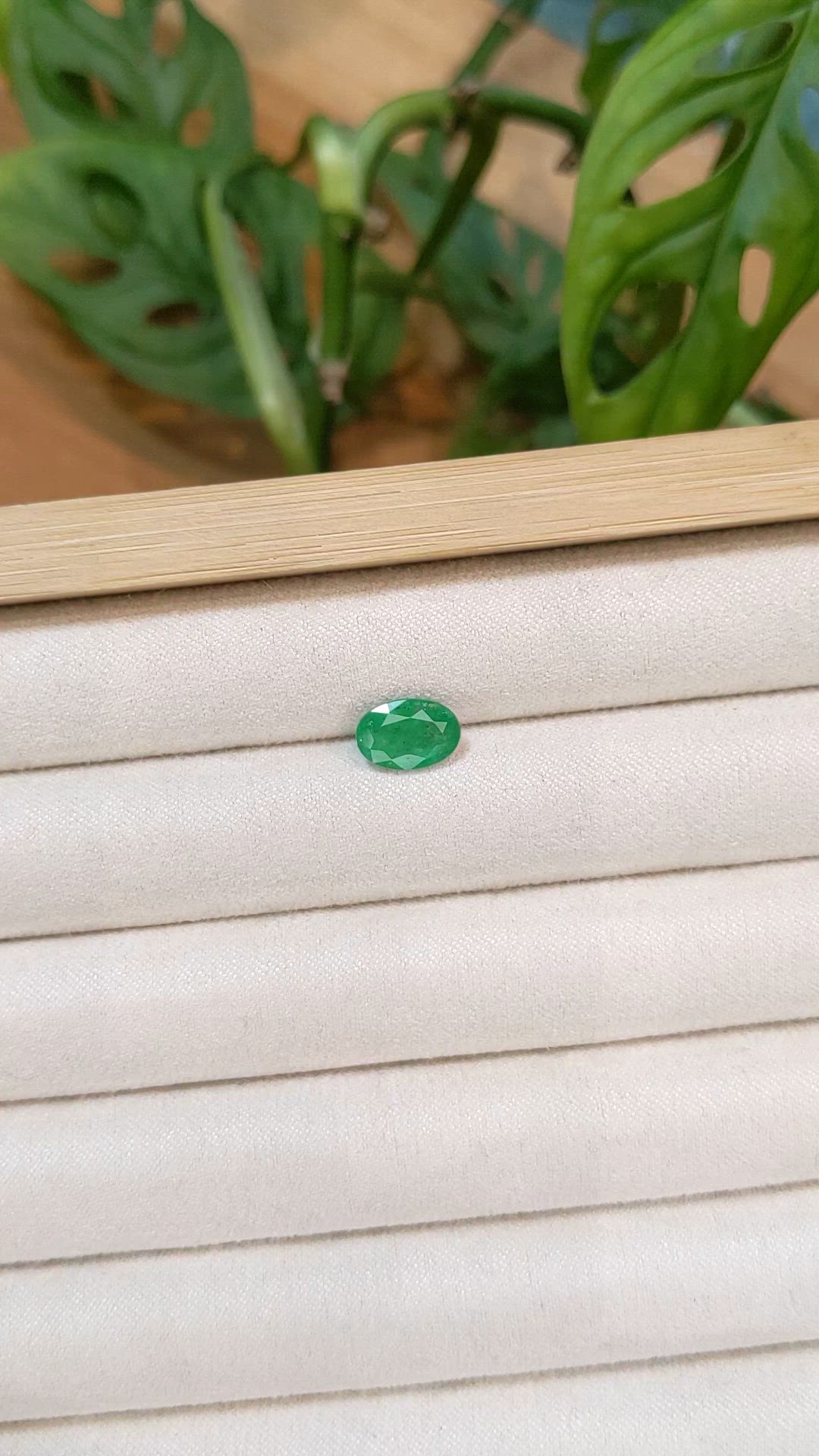 1.74 Ct. Emerald from Zambia Size Video