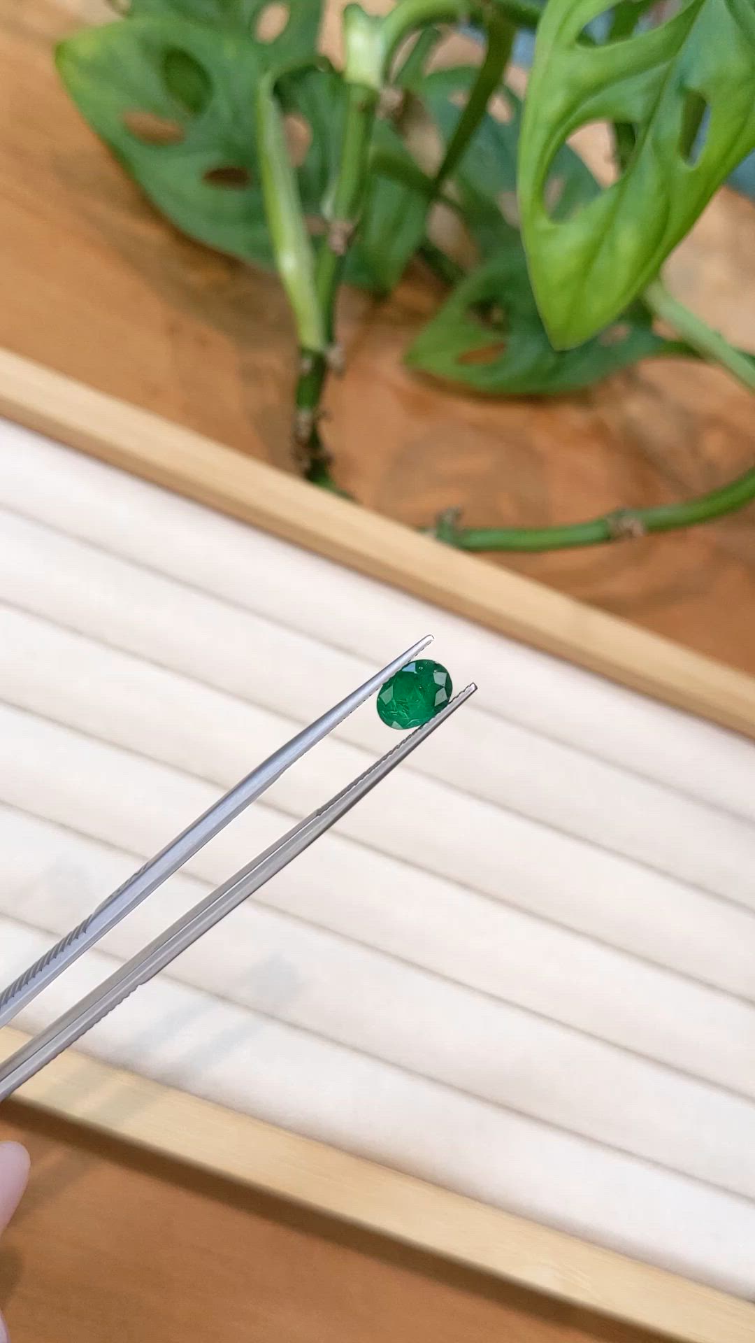 1.25 Ct. Emerald from Zambia Size Video