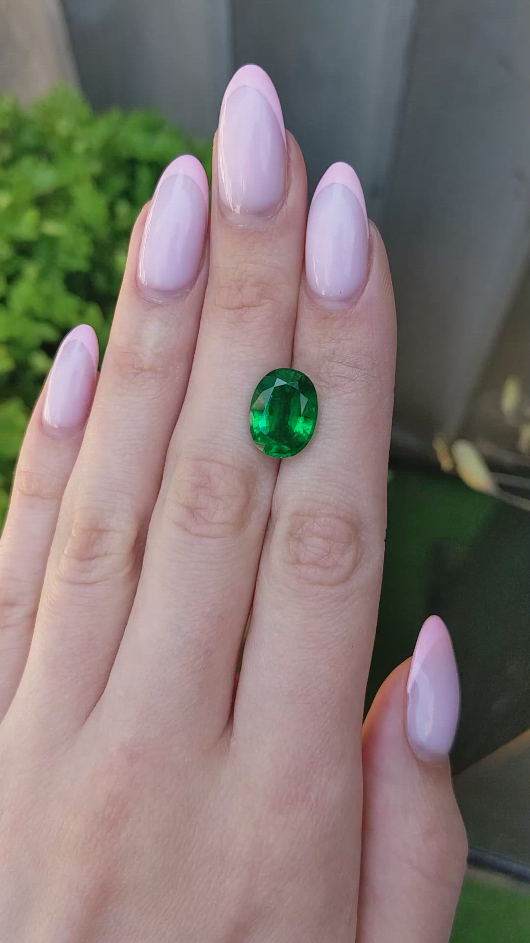 5.50 Ct. Emerald from Zambia Size Video