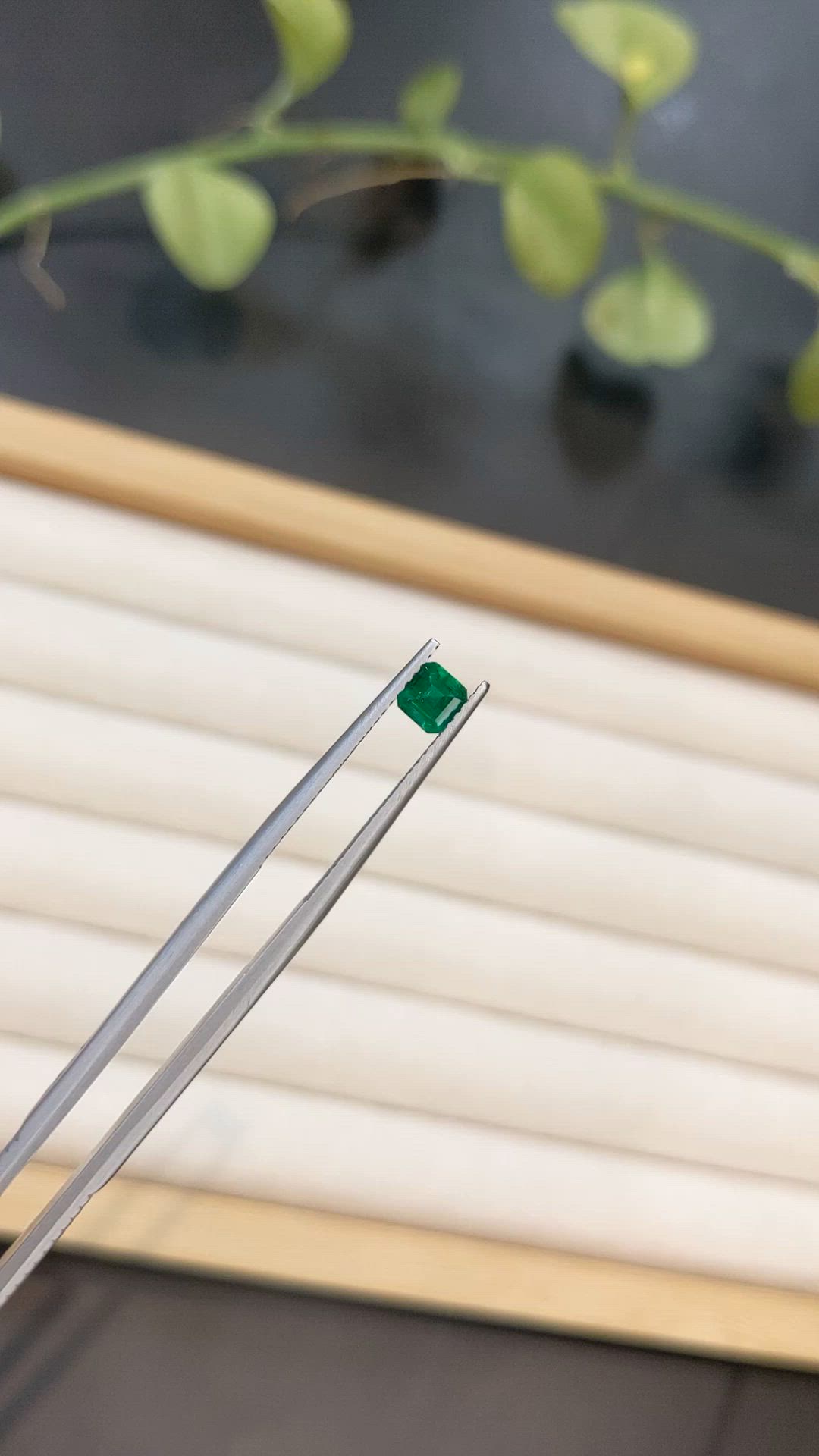 0.31 Ct. Emerald from Afghanistan Size Video