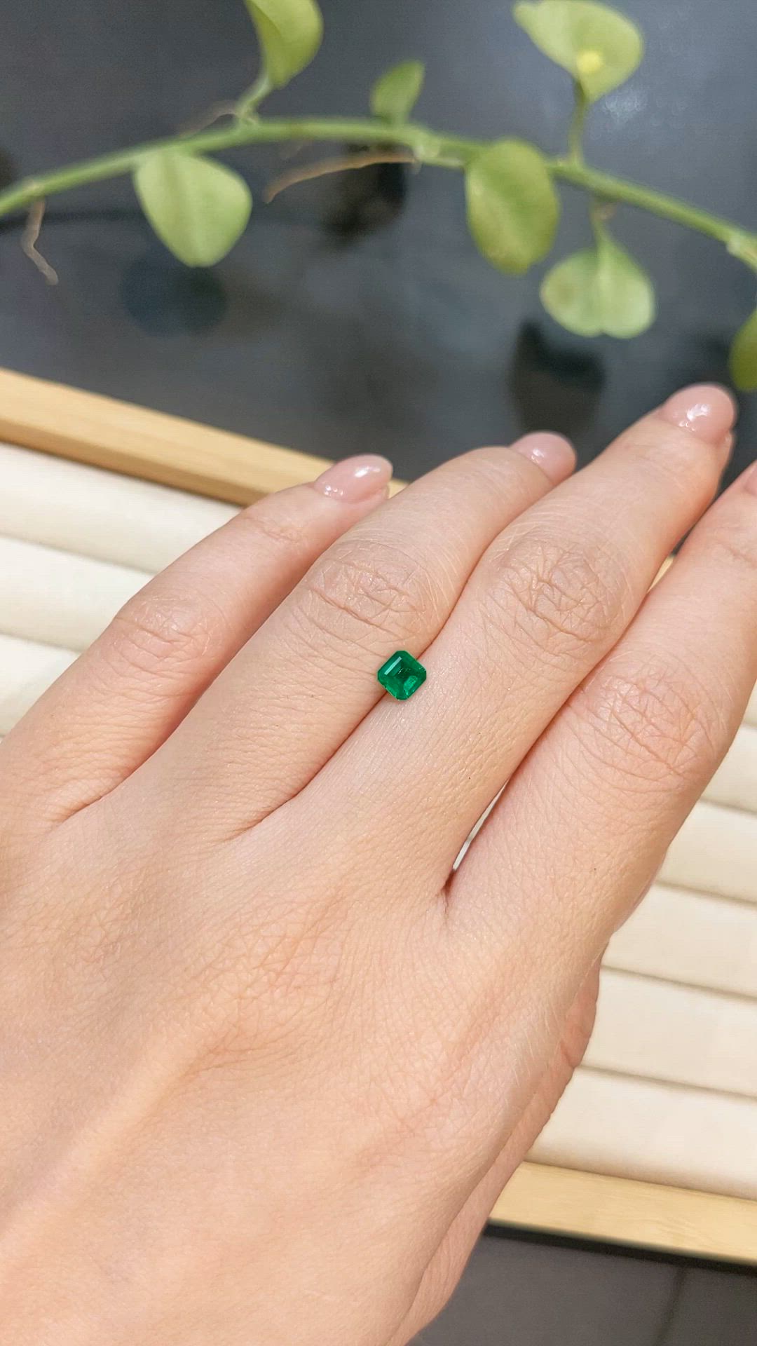 0.31 Ct. Emerald from Afghanistan Size Video