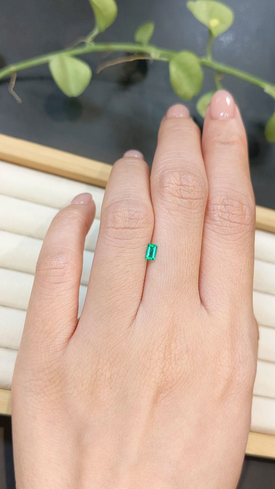 0.16 Ct. Emerald from Afghanistan Size Video