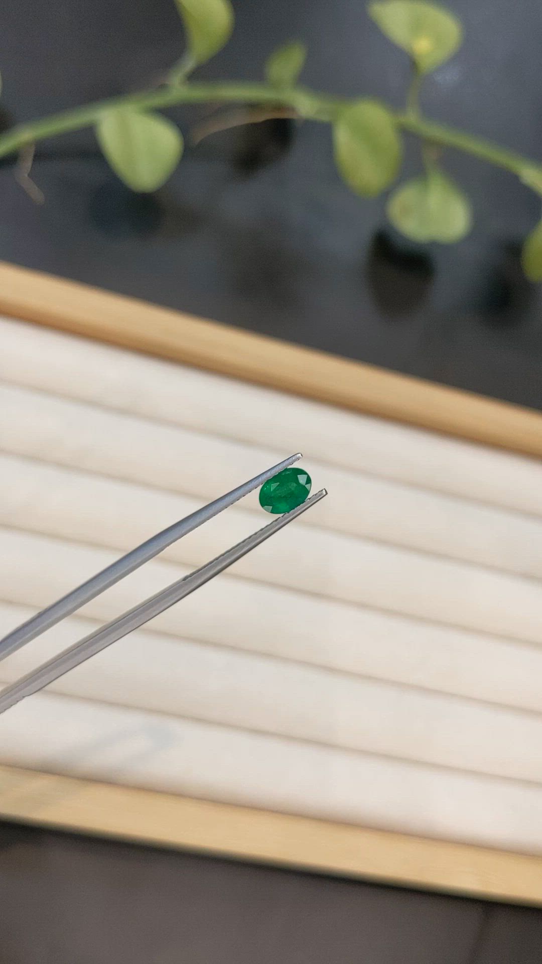 0.61 Ct. Emerald from Afghanistan Size Video
