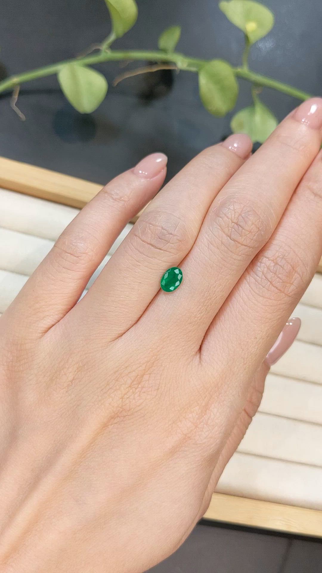 0.61 Ct. Emerald from Afghanistan Size Video