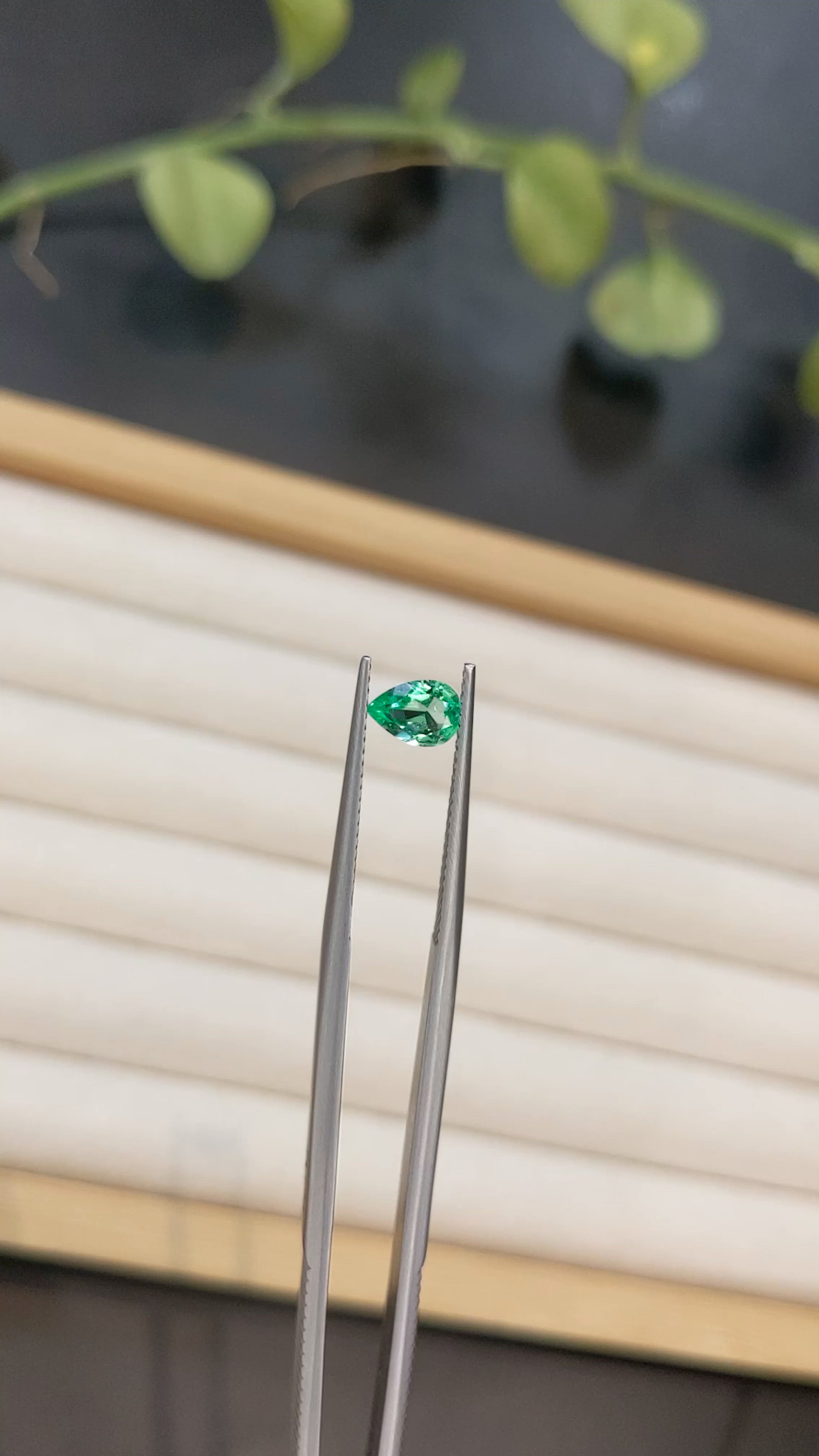 0.46 Ct. Emerald from Afghanistan Size Video