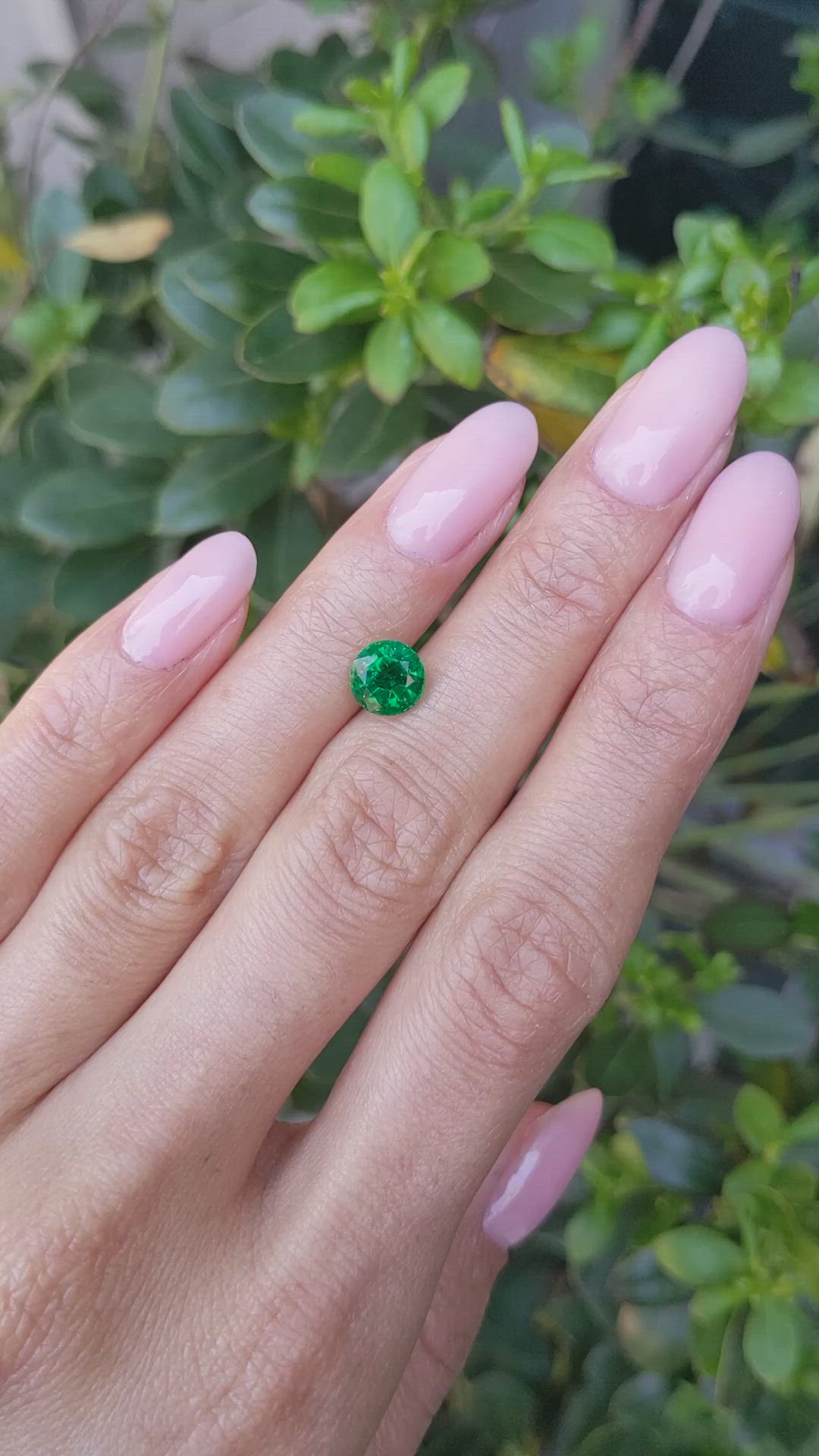 1.31 Ct. Emerald from Zambia Size Video