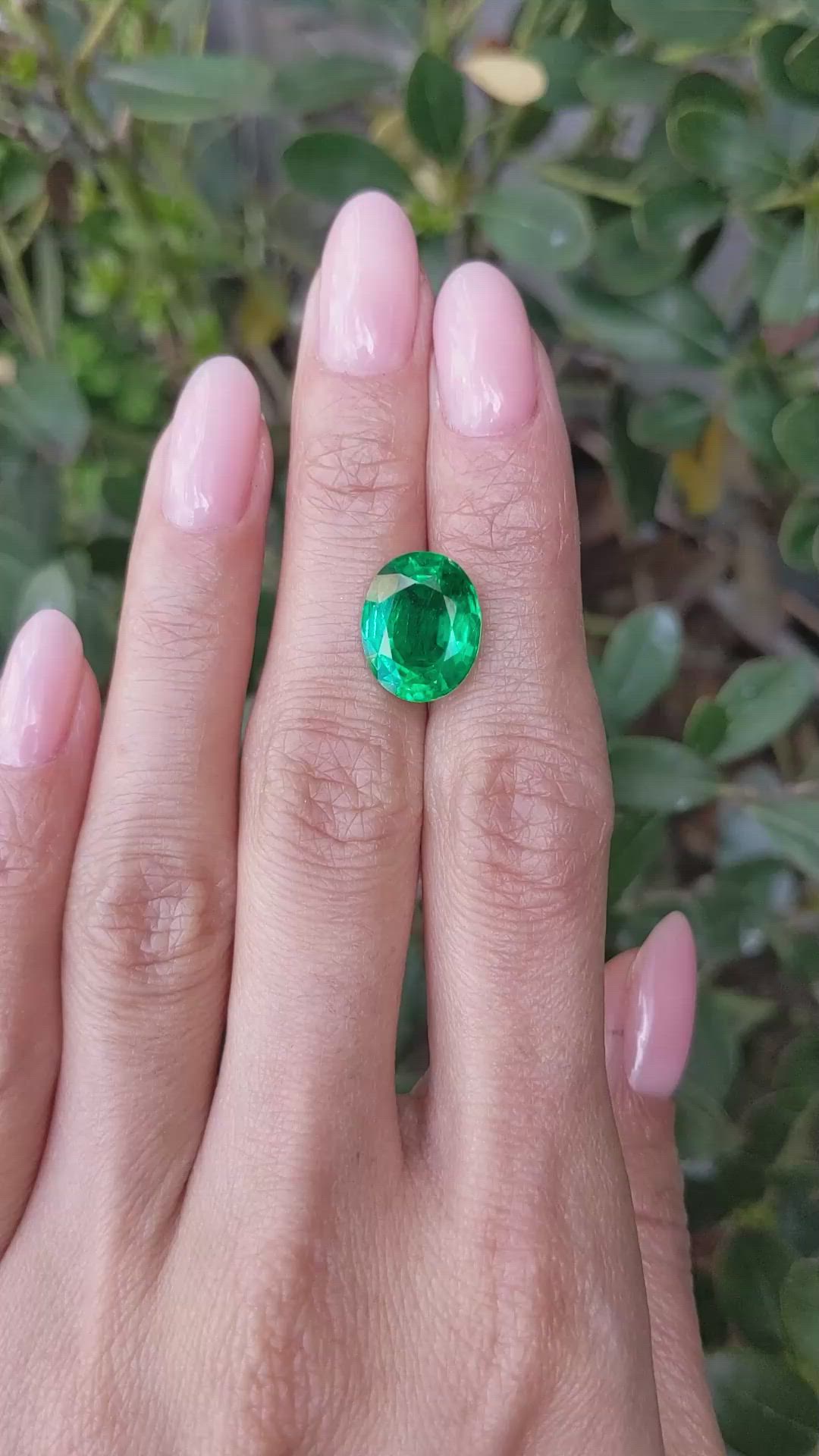 5.48 Ct. Emerald from Zambia Size Video