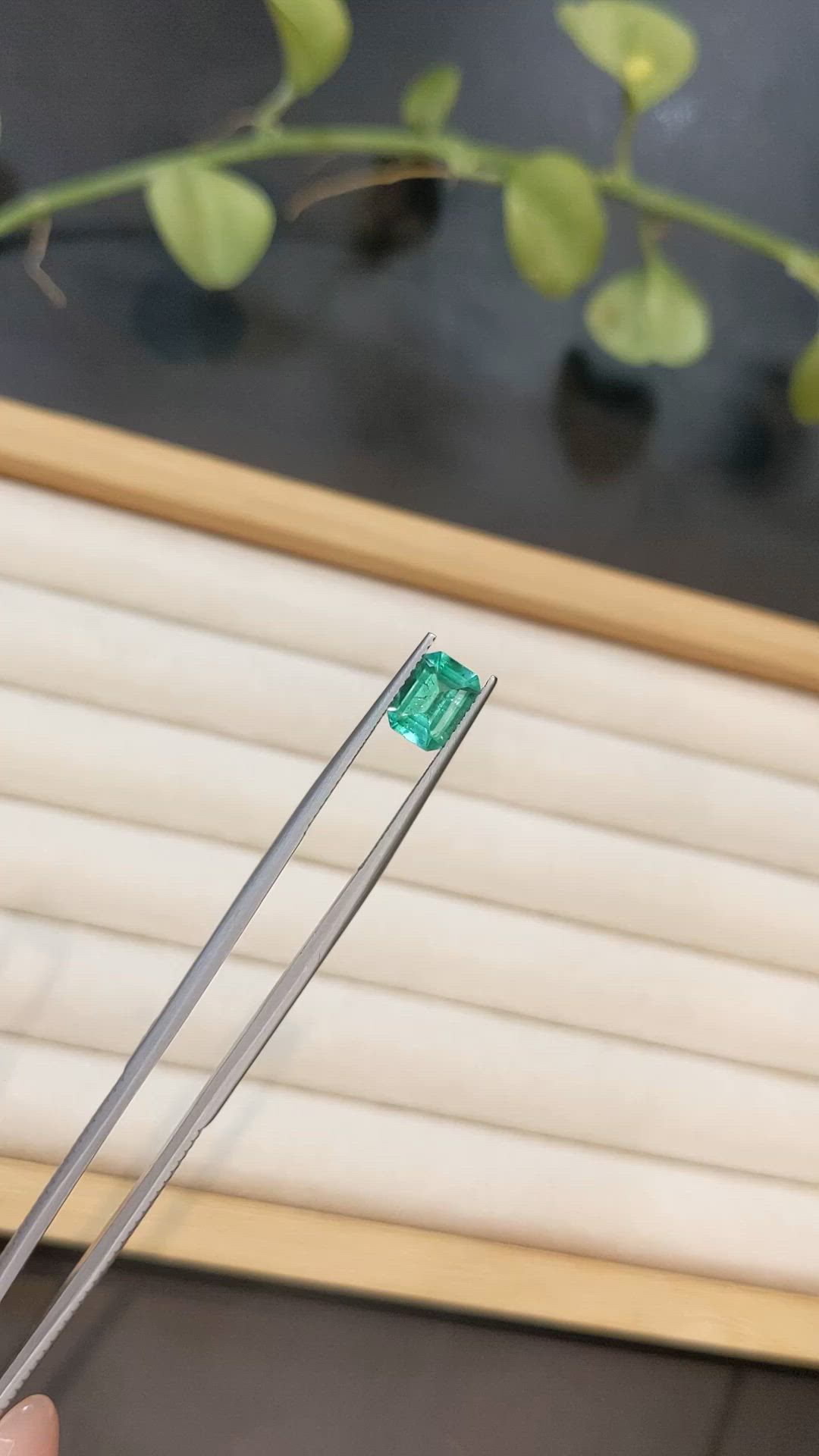 1.24 Ct. Emerald from Brazil Size Video