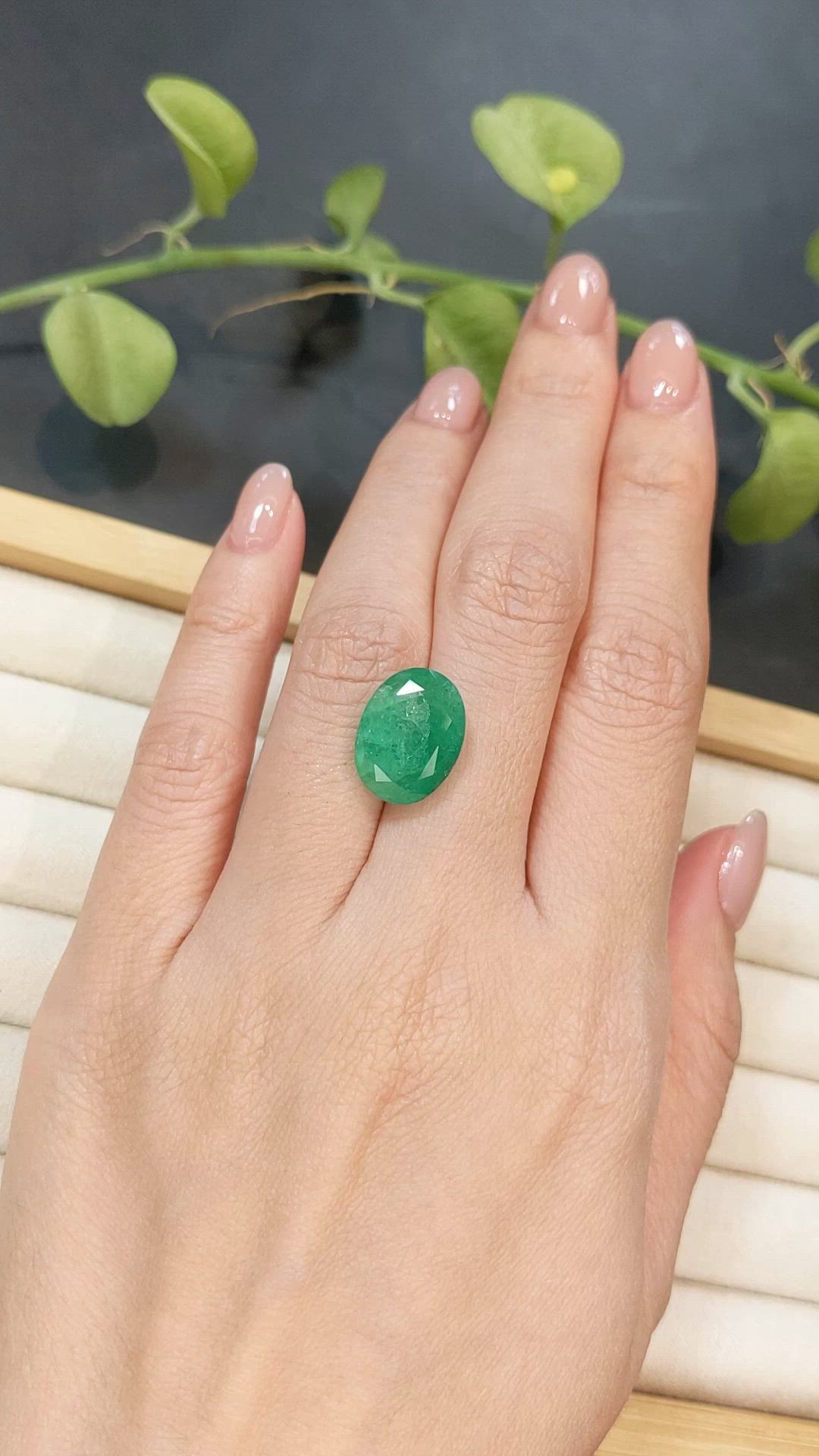 8.25 Ct. Emerald from Zambia Size Video