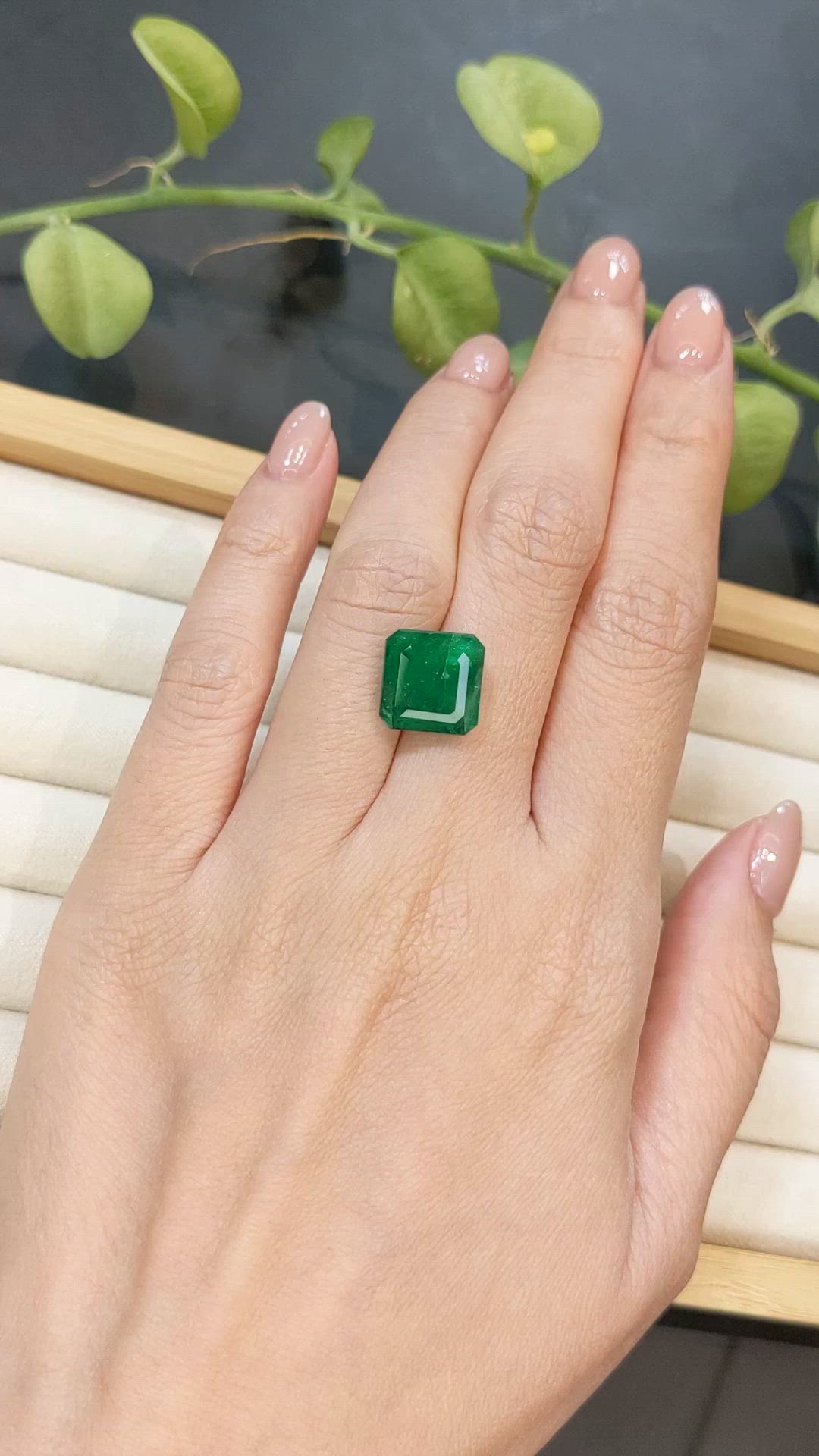 7.01 Ct. Emerald from Zambia Size Video