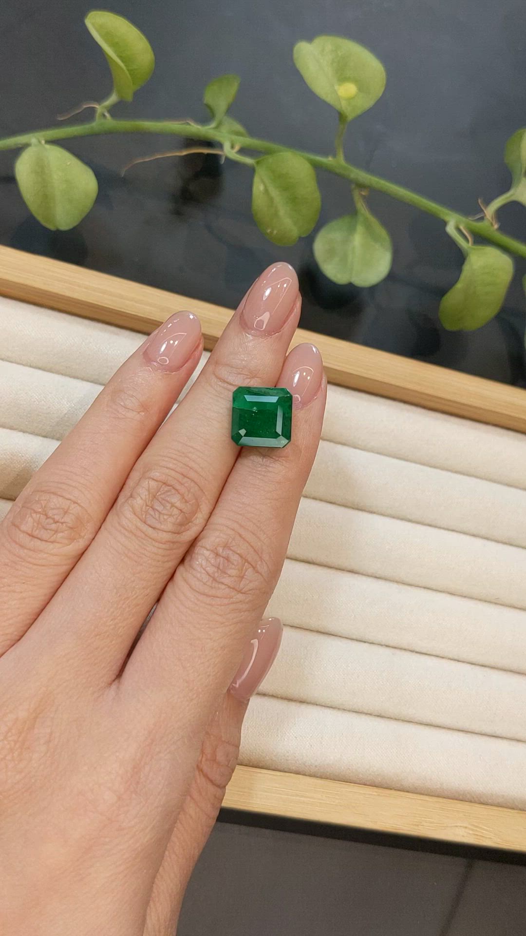 7.01 Ct. Emerald from Zambia Size Video