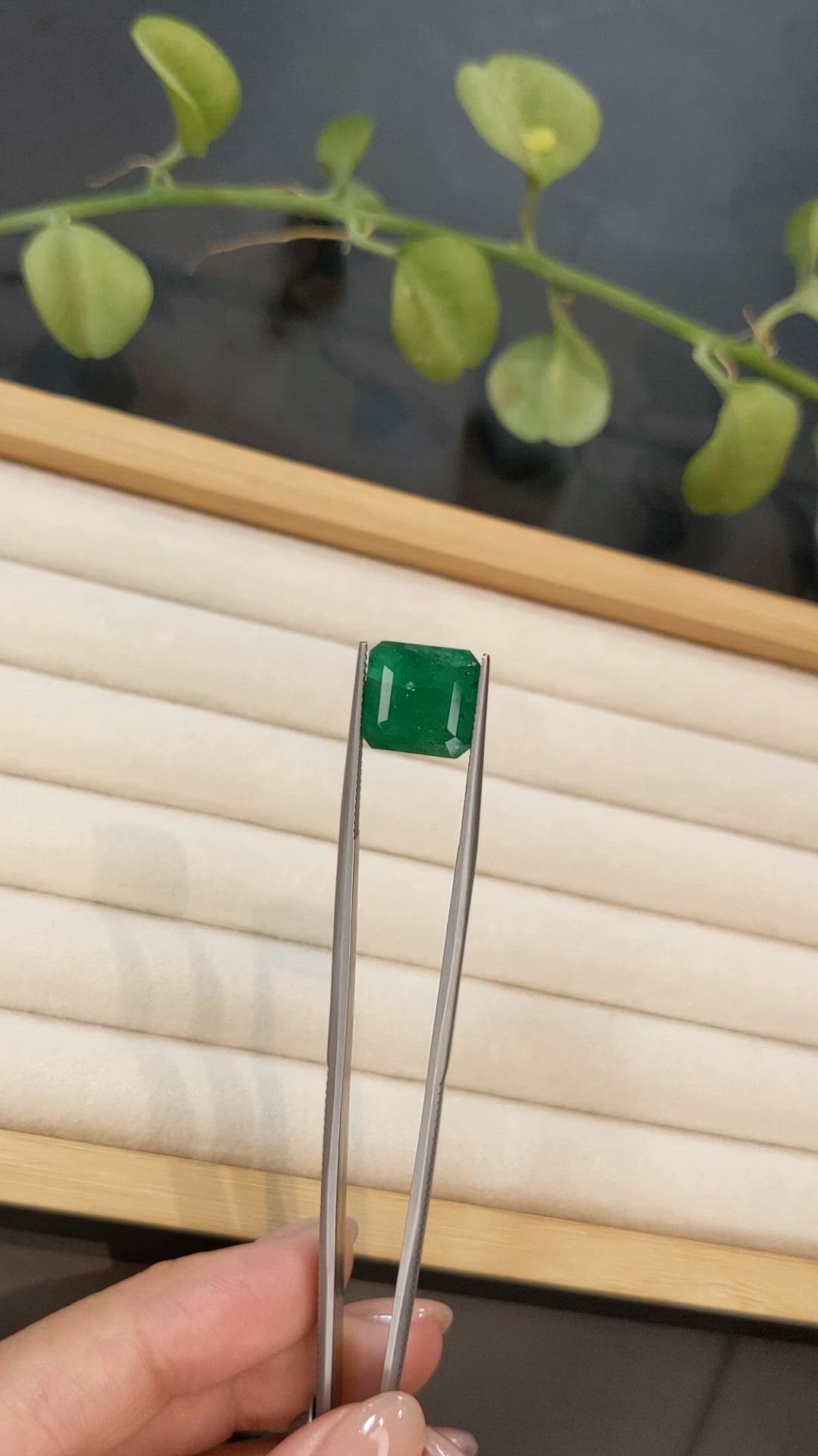 7.01 Ct. Emerald from Zambia Size Video