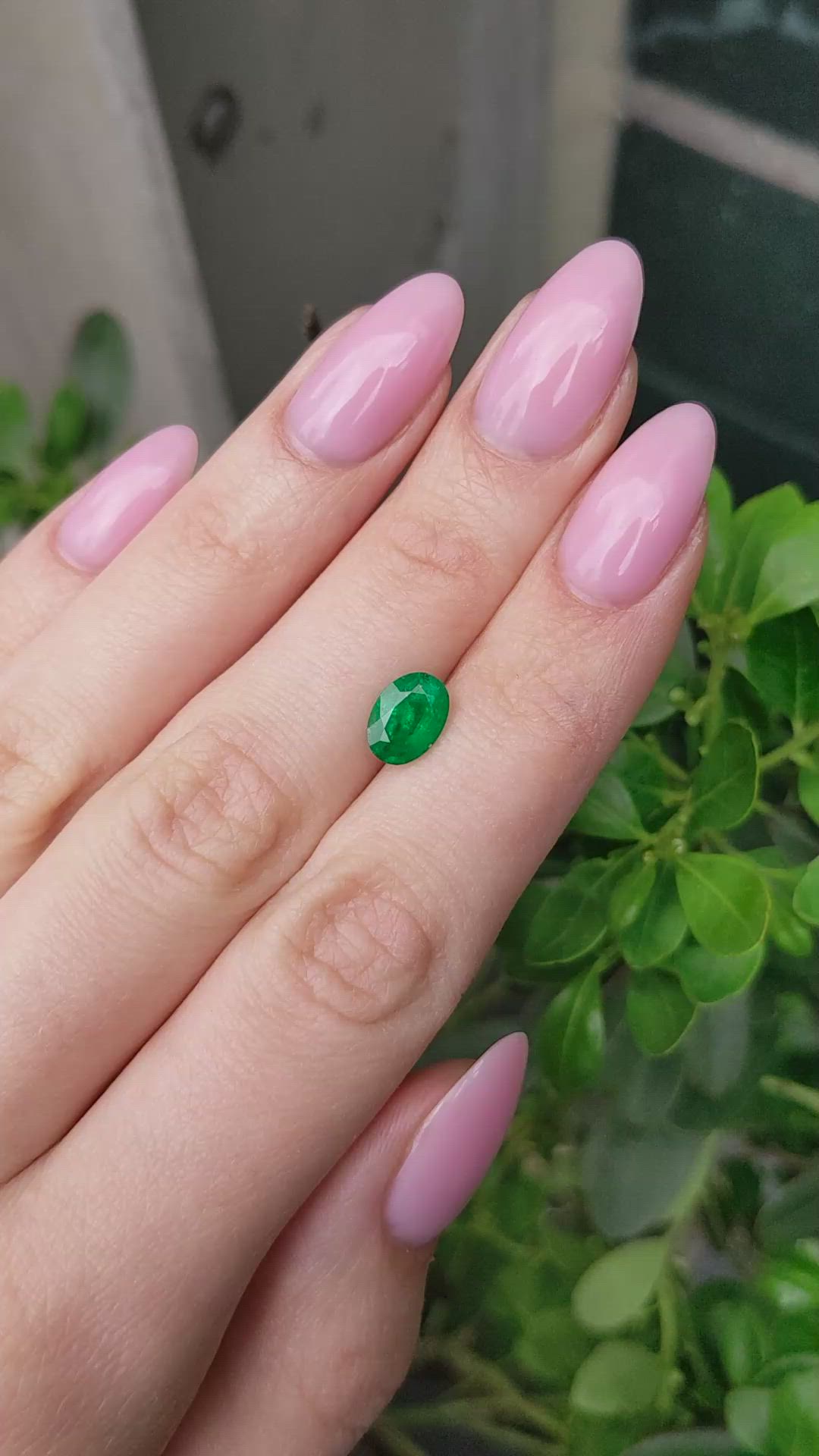 1.47 Ct. Emerald from Zambia Size Video