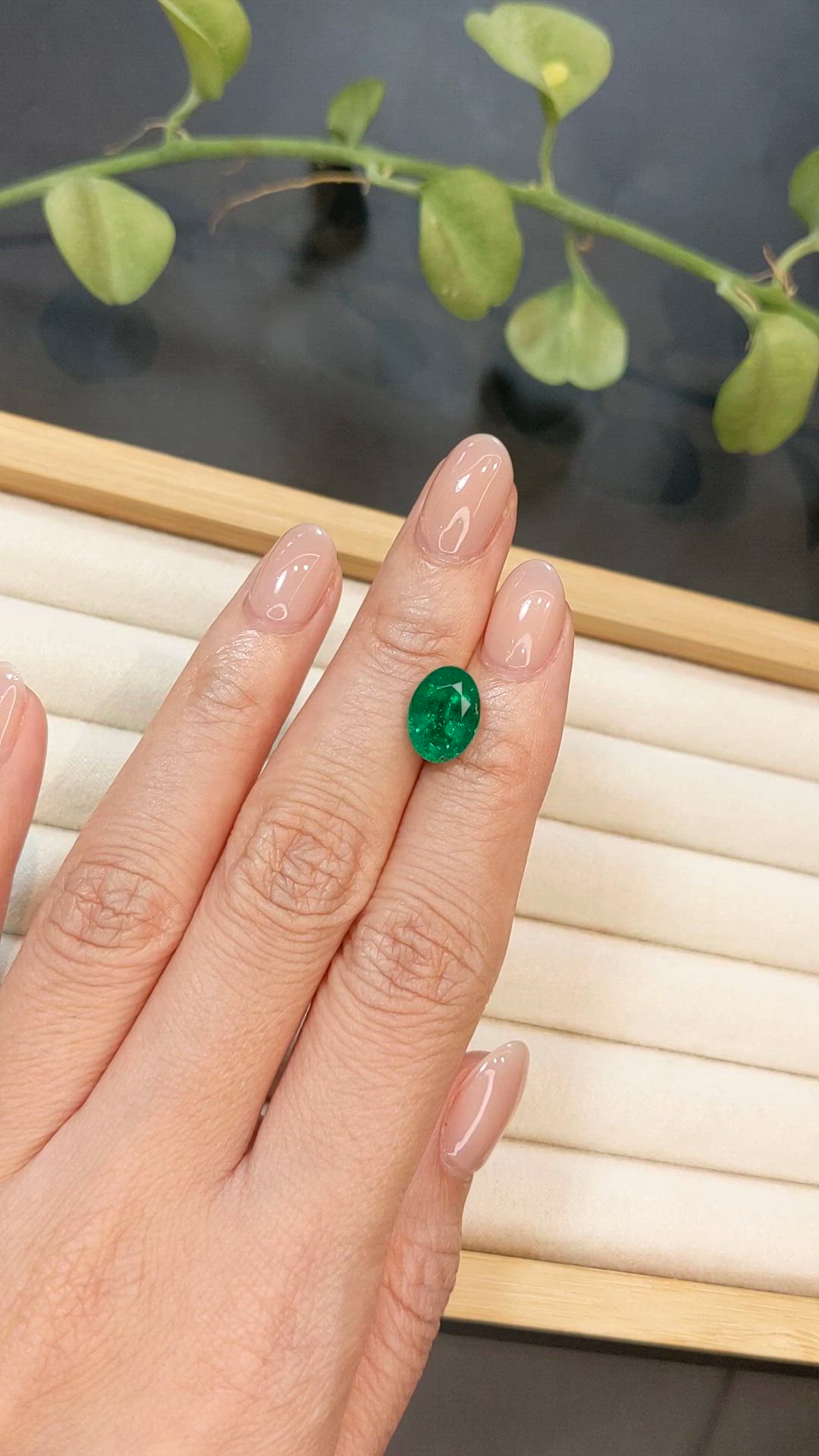 3.17 Ct. Emerald from Zambia Size Video