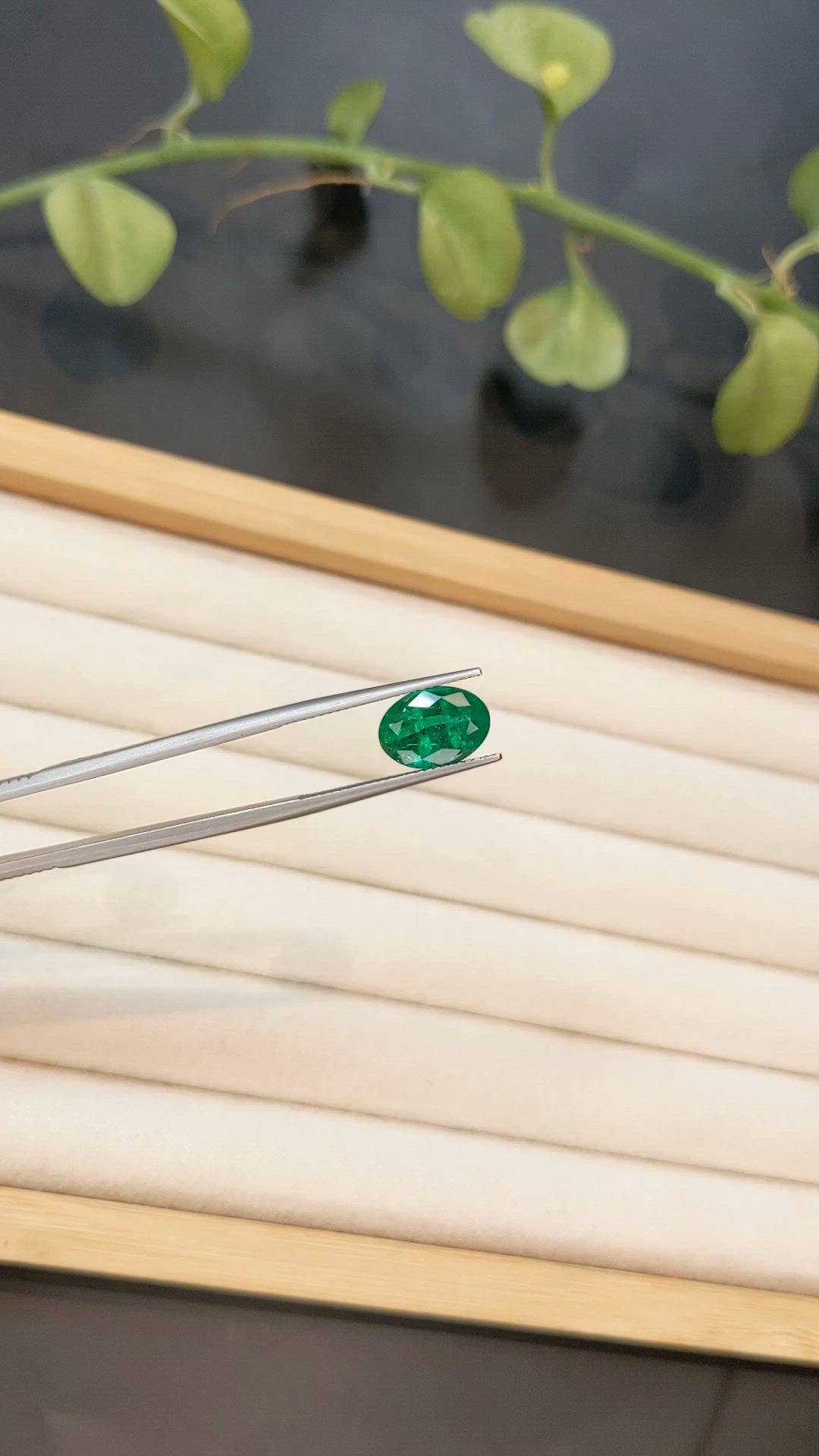 3.17 Ct. Emerald from Zambia Size Video