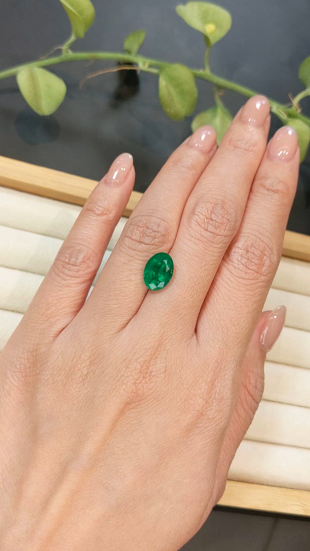 3.17 Ct. Emerald from Zambia Size Video