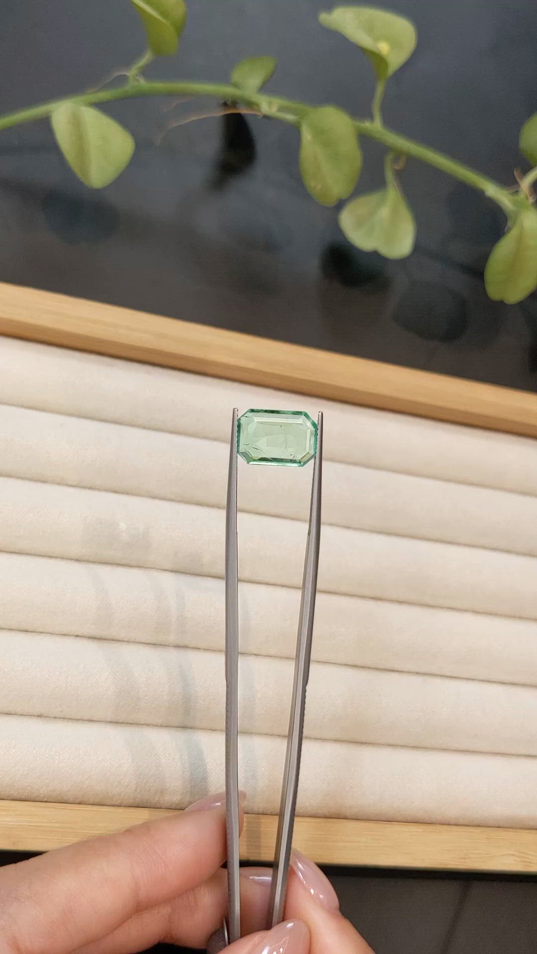 3.40 Ct. Emerald from Colombia Size Video