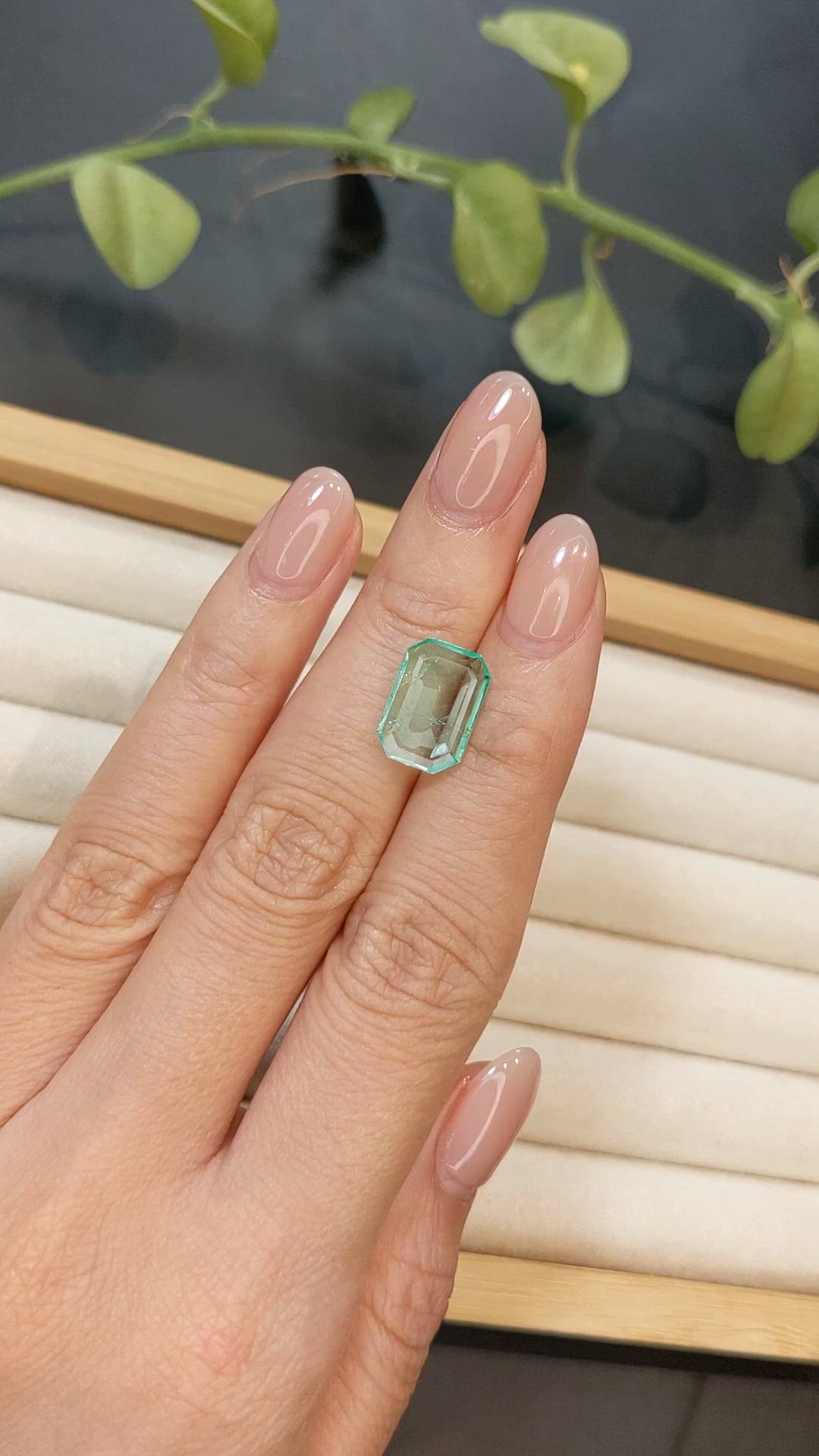 3.40 Ct. Emerald from Colombia Size Video