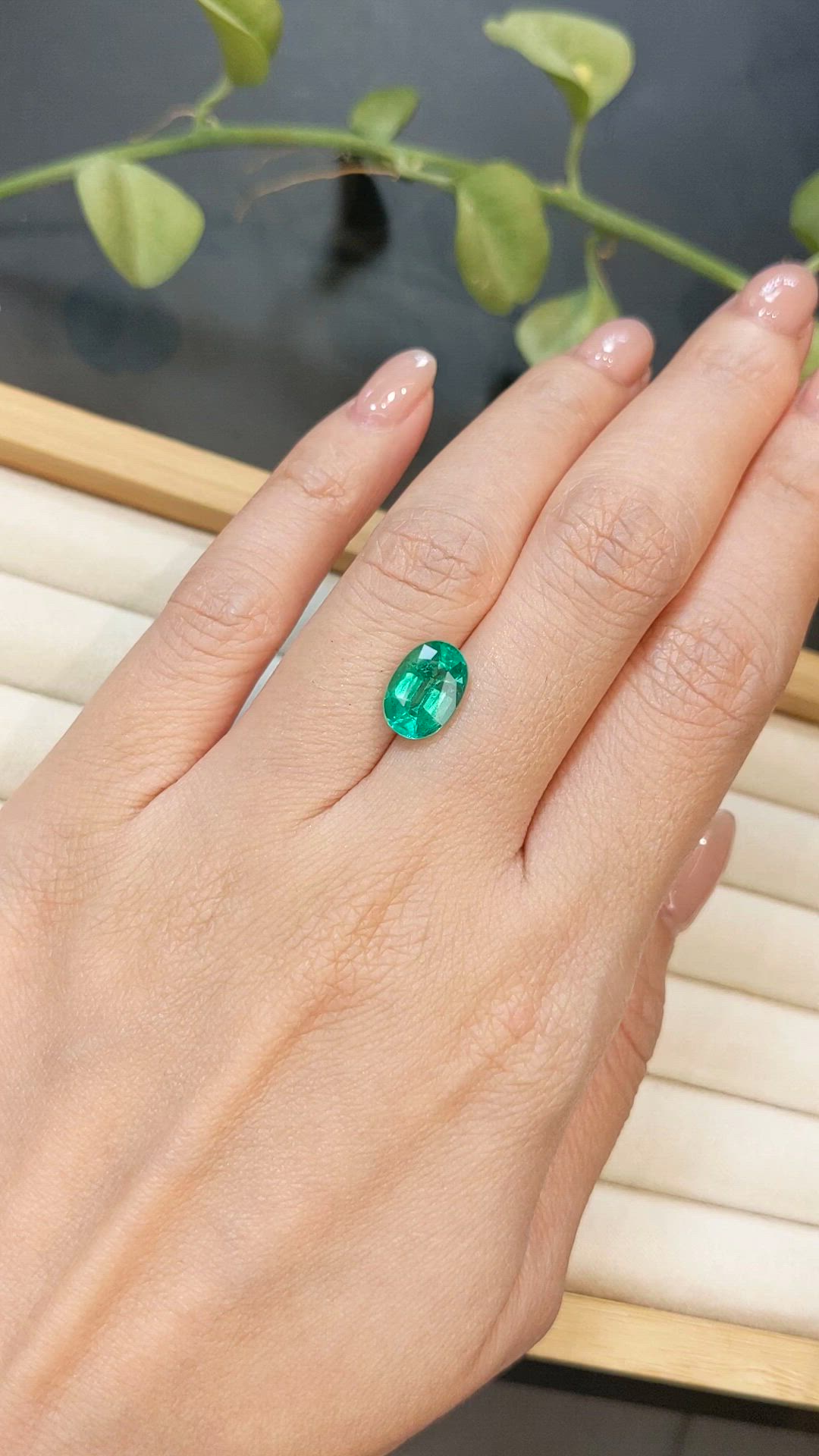 2.22 Ct. Emerald from Colombia Size Video