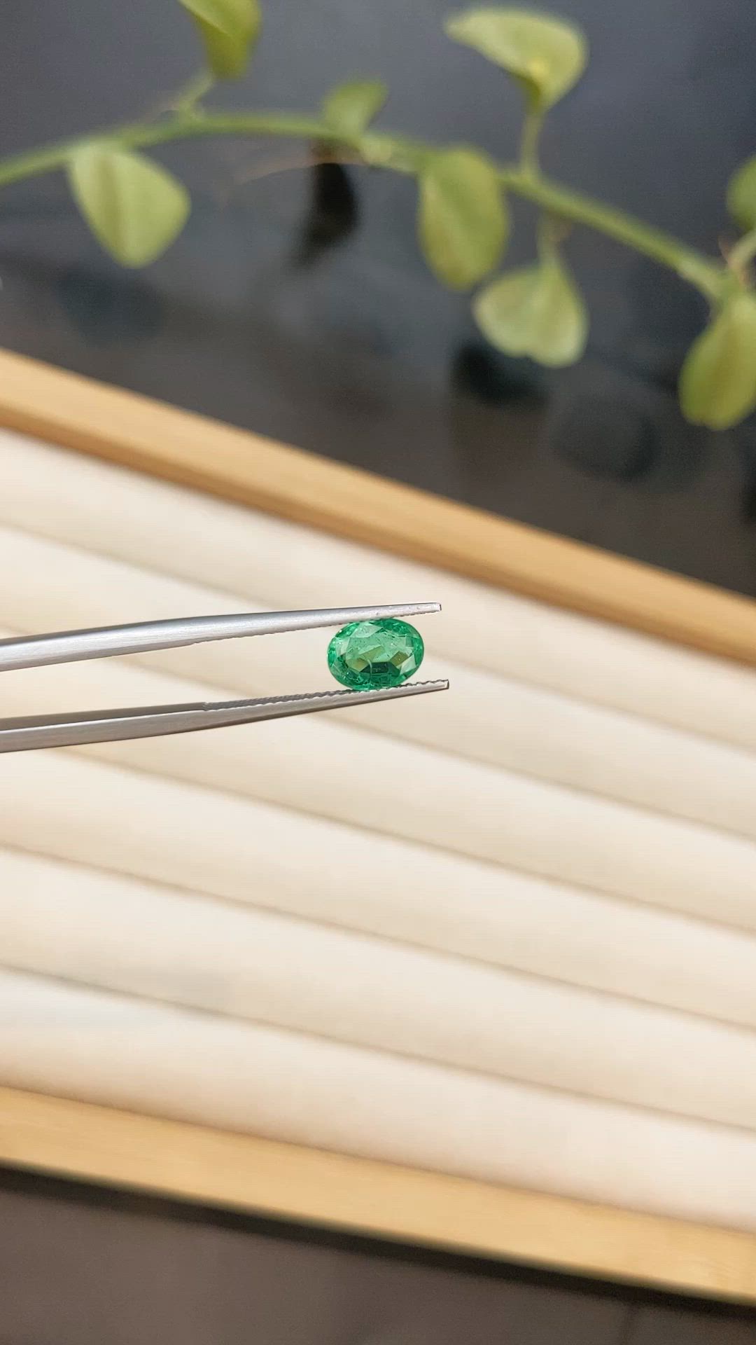 1.20 Ct. Emerald from Colombia Size Video
