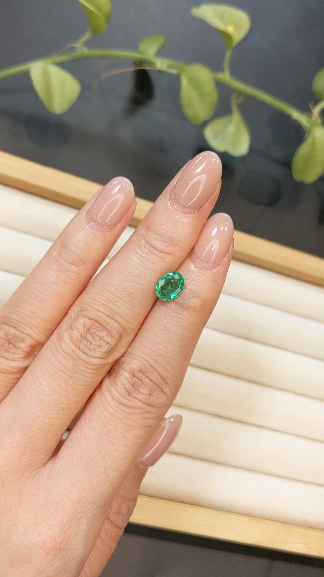 1.20 Ct. Emerald from Colombia Size Video
