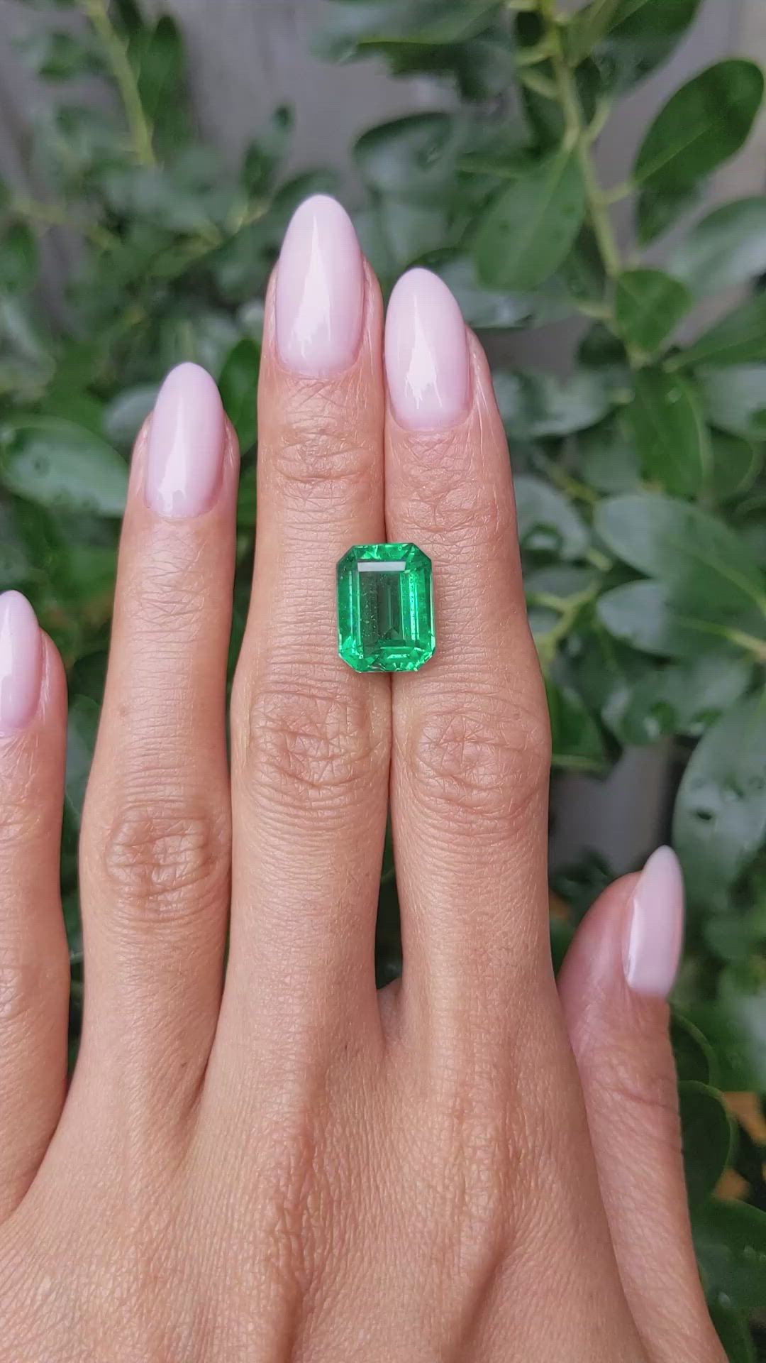 7.65 Ct. Emerald from Zambia Size Video