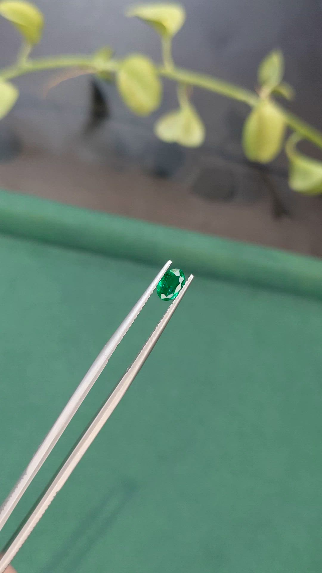 0.41 Ct. Emerald from Zambia Size Video
