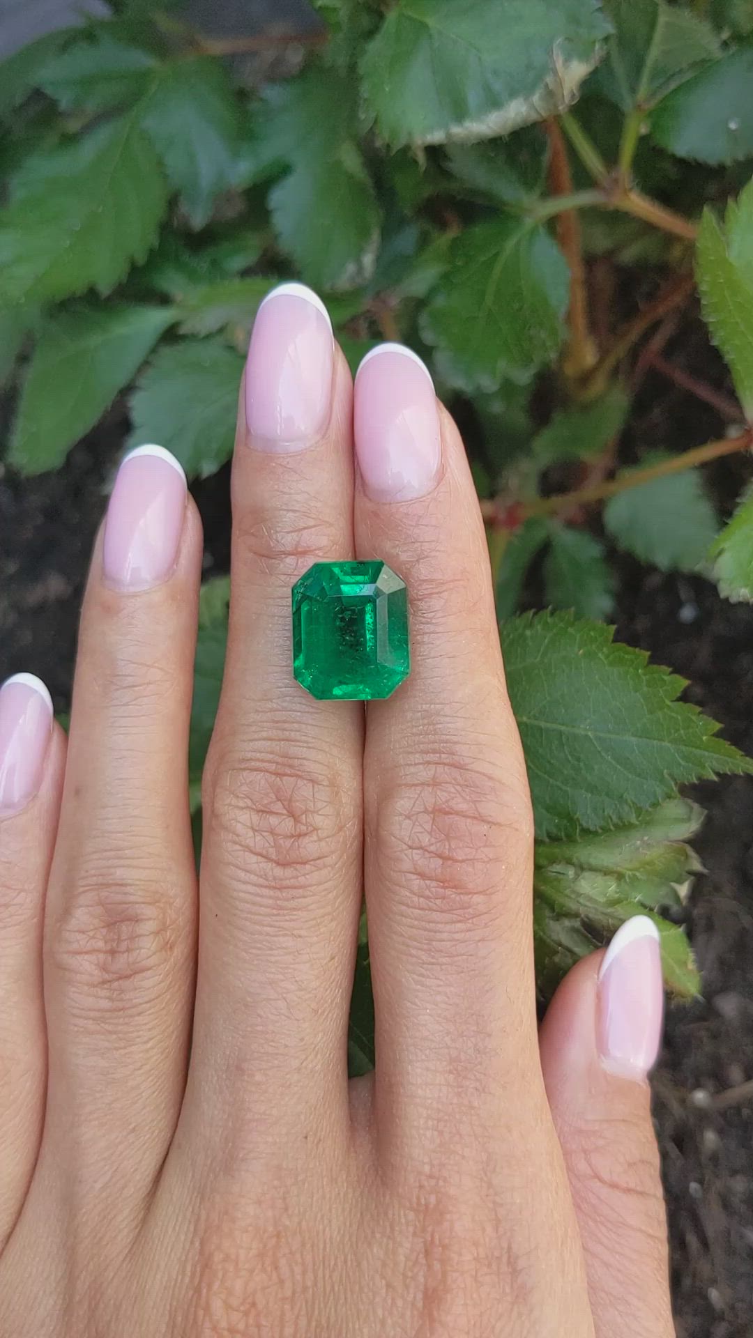 10.90 Ct. Emerald from Zambia Size Video