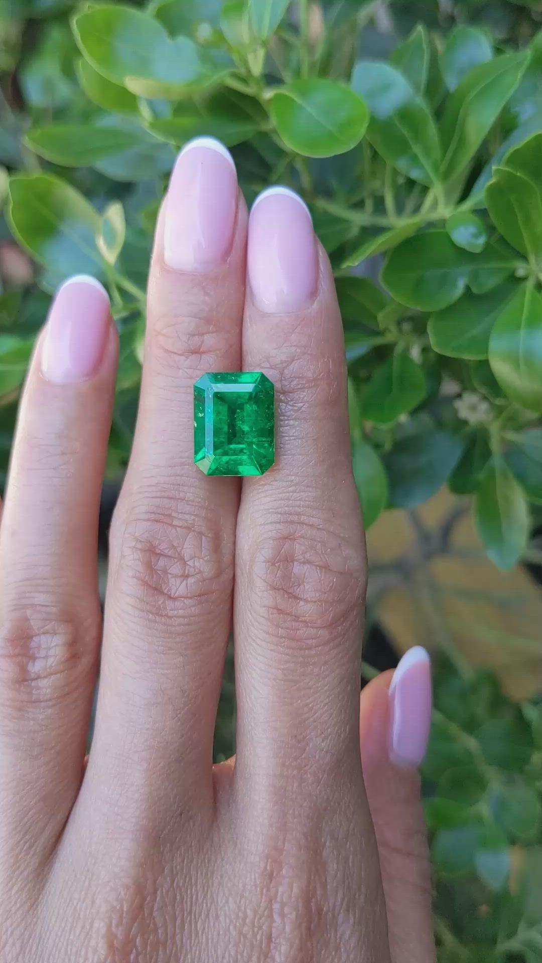 6.63 Ct. Emerald from Colombia - Muzo Size Video