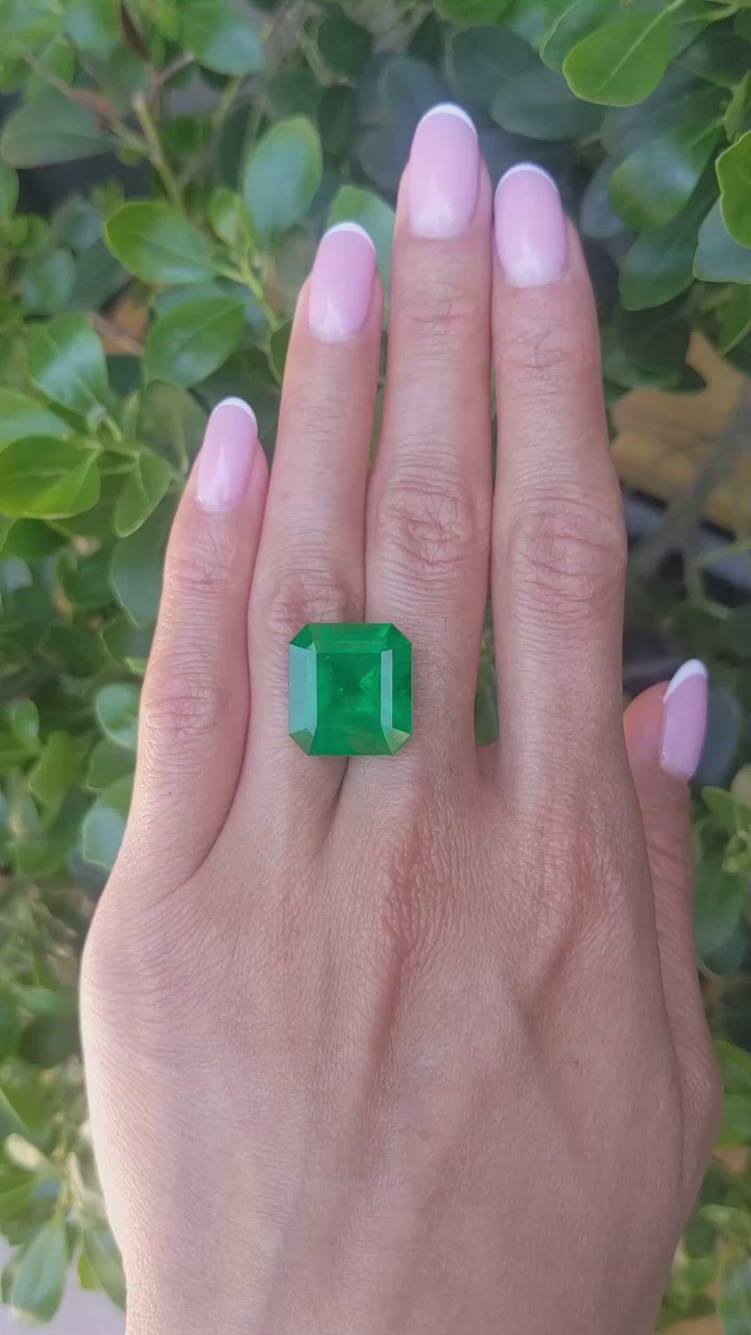15.07 Ct. Emerald from Colombia Size Video