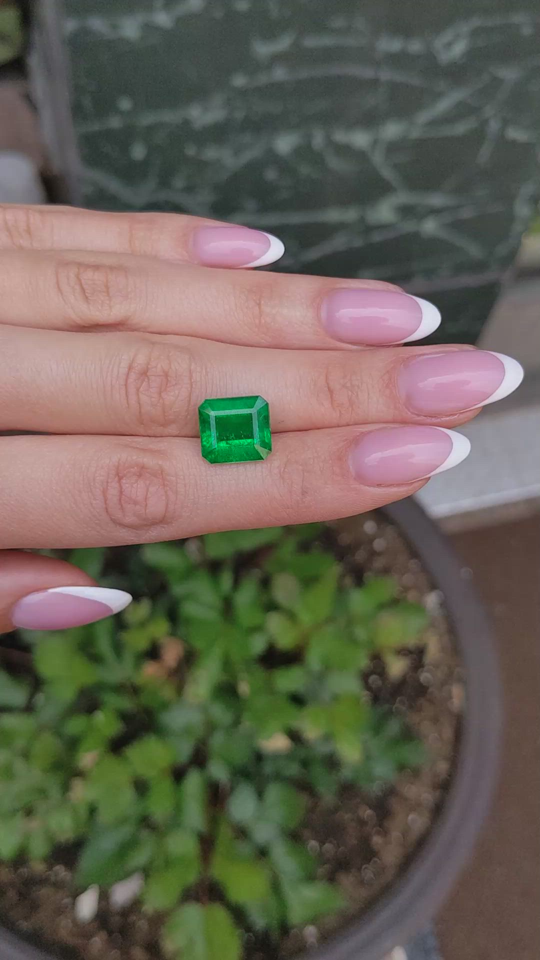 6.69 Ct. Emerald from Zambia Size Video