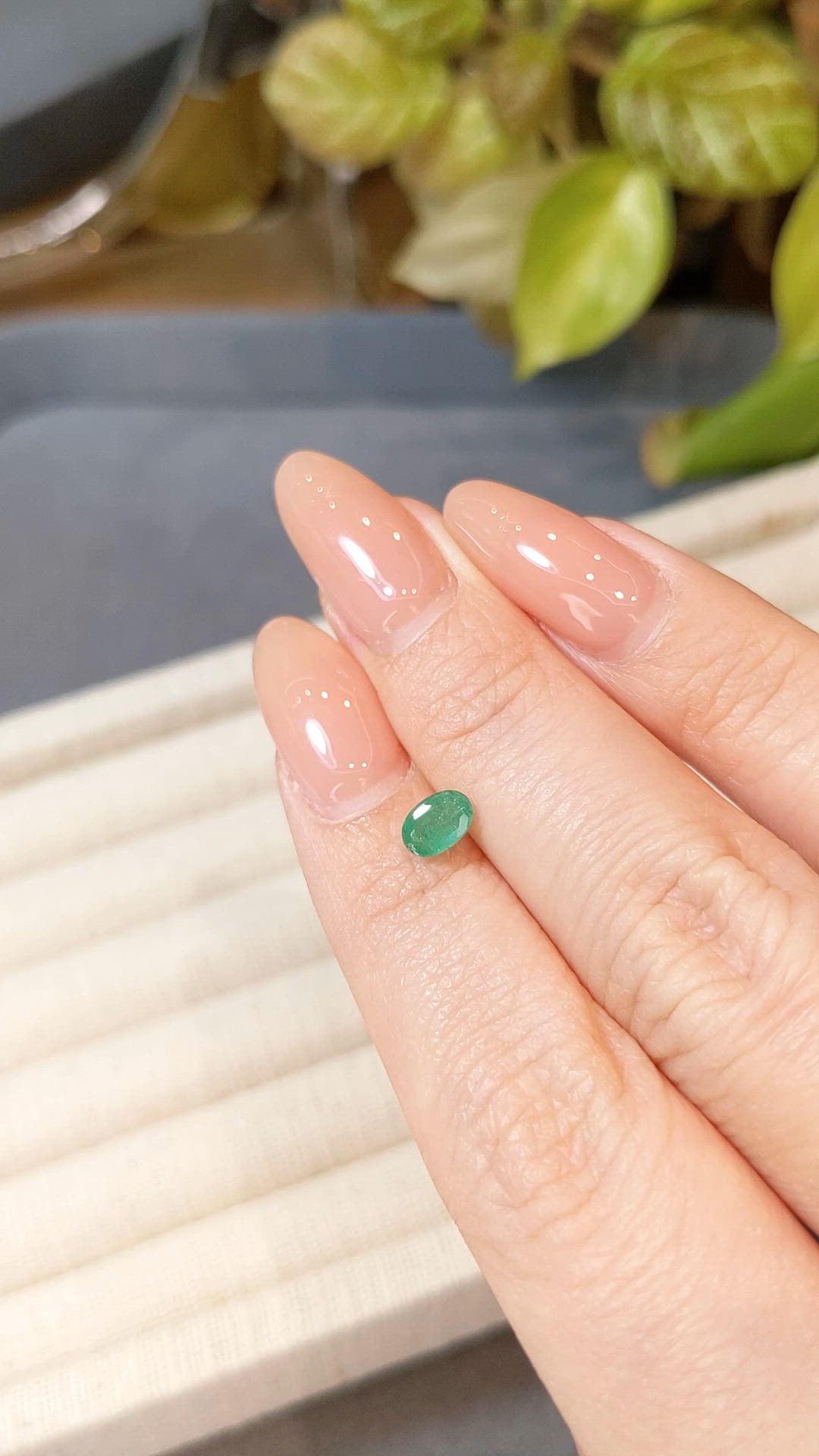 0.55 Ct. Emerald from Zambia Size Video