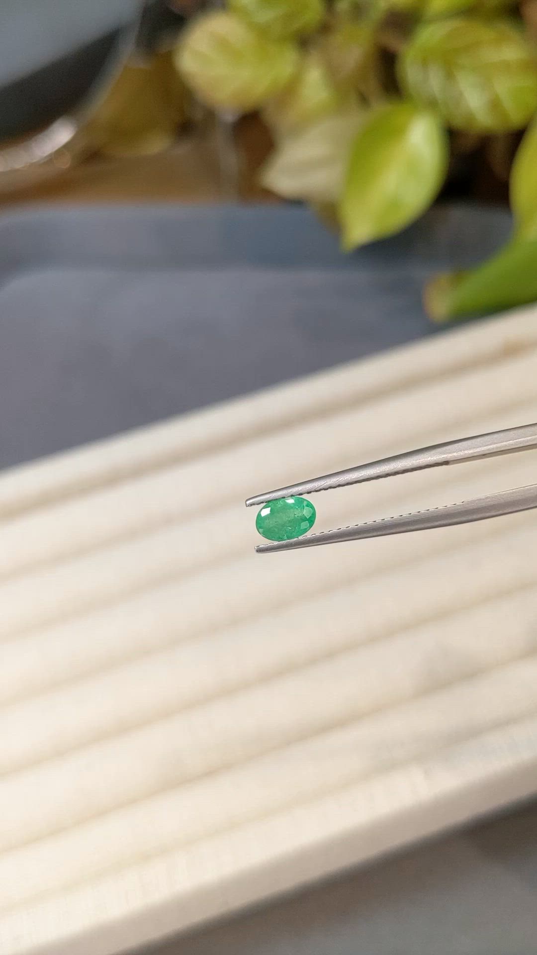 0.55 Ct. Emerald from Zambia Size Video